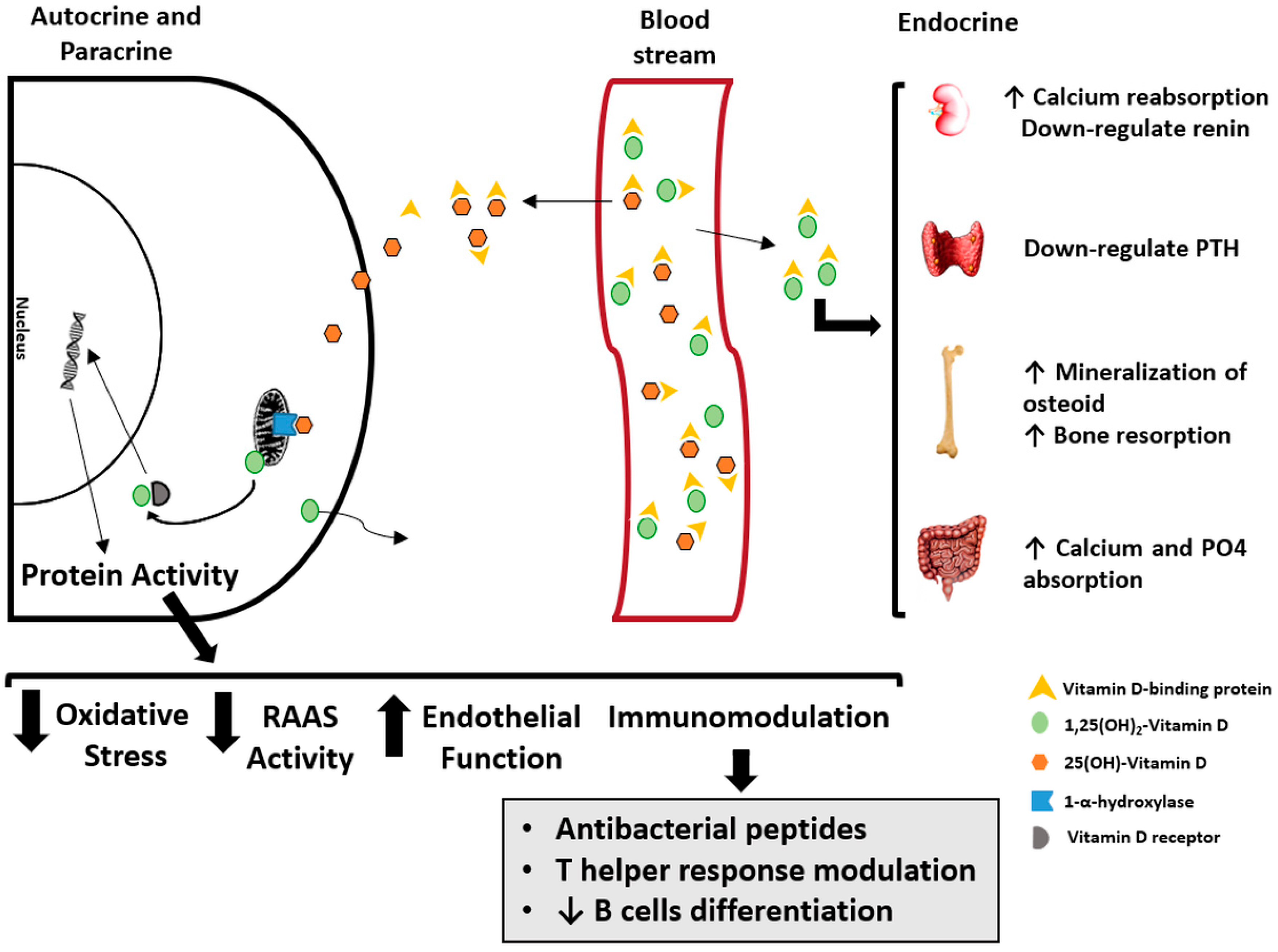 Ijerph 15 01773 g003