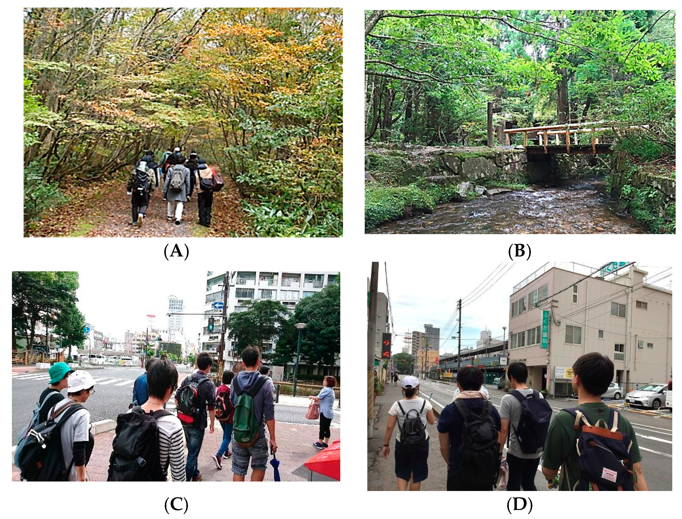 Ijerph 15 01871 g001