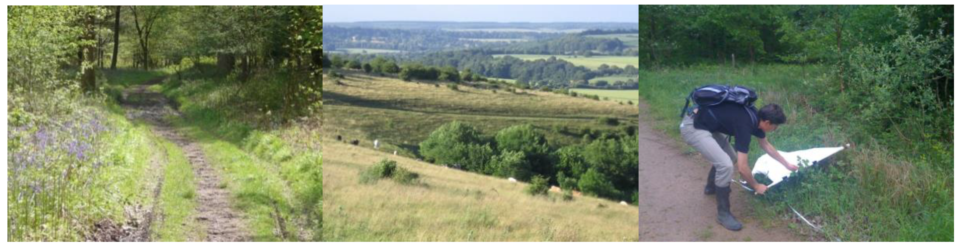 Ijerph 15 02145 g006 Ijerph 15 02145 g006