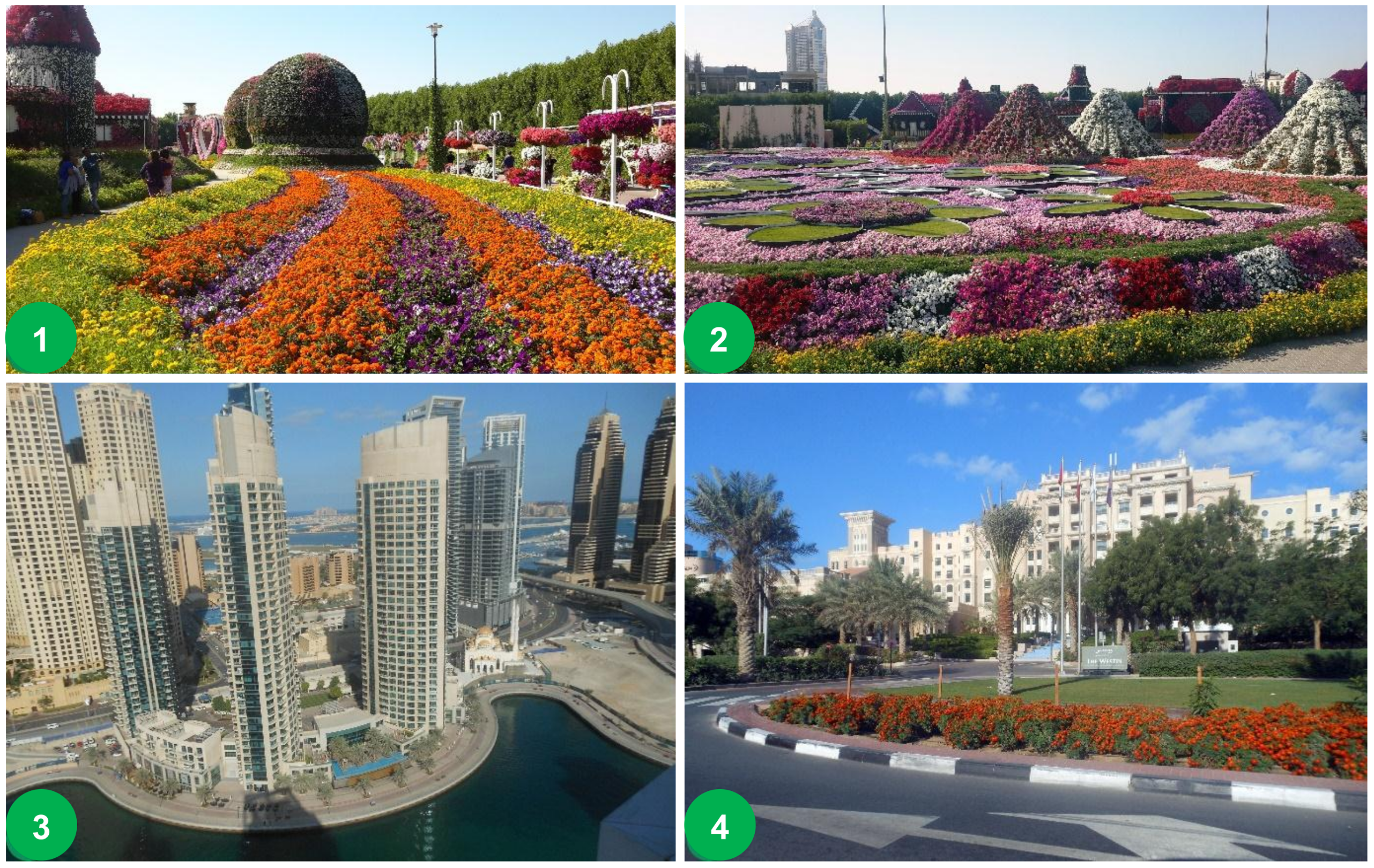 Ijerph 15 02180 g003