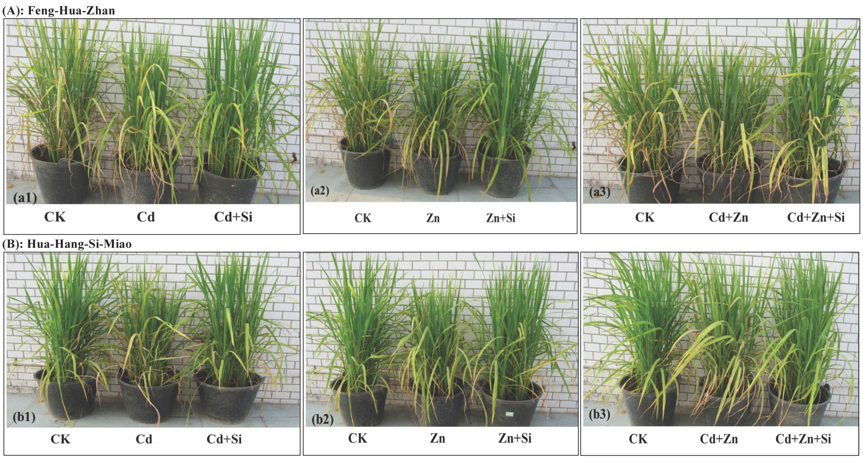 Ijerph 15 02193 g001