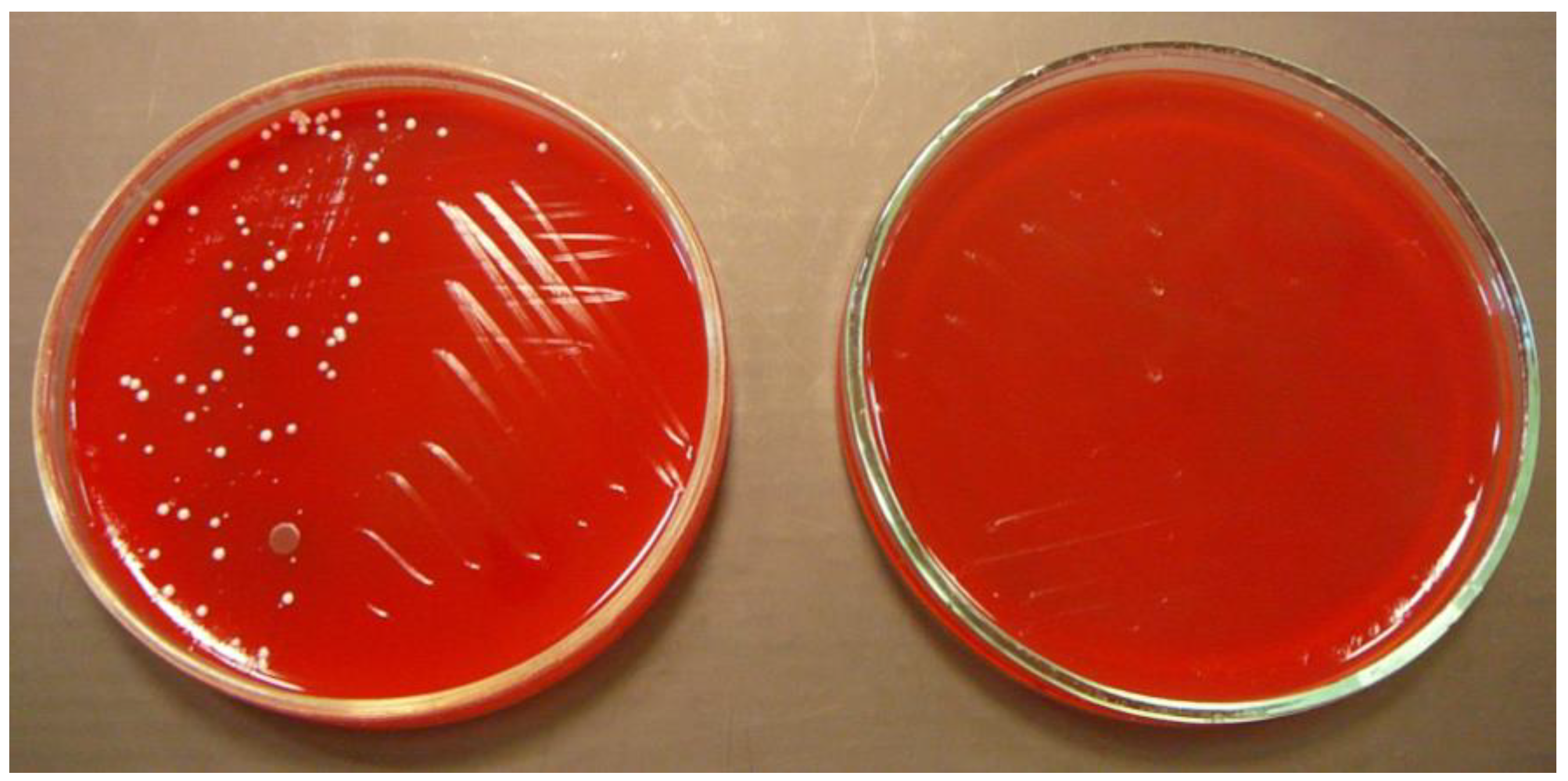 Ijerph 15 02238 g001