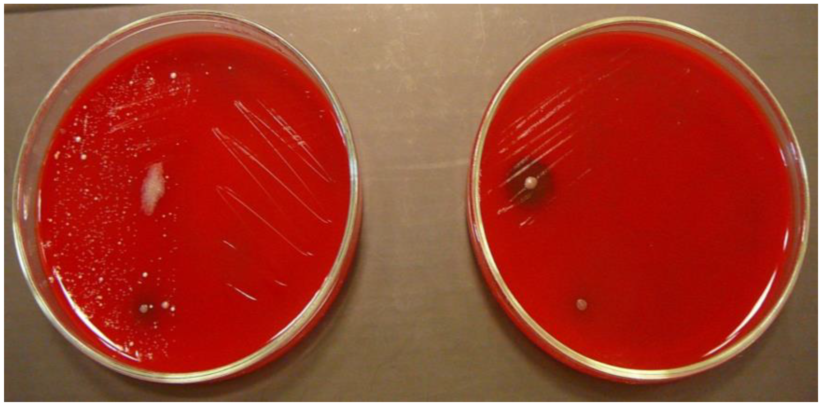 Ijerph 15 02238 g002