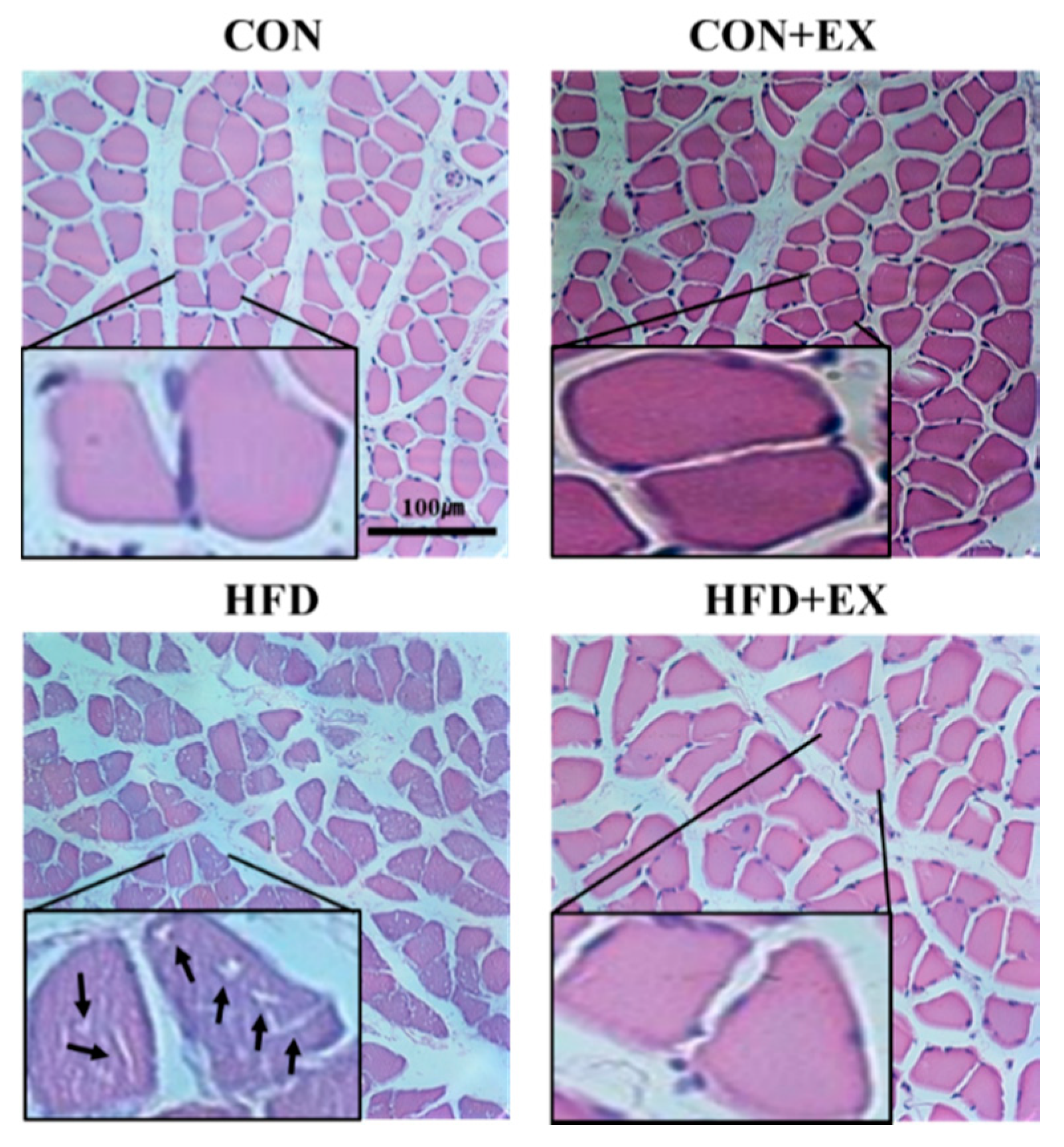 Ijerph 15 02301 g002