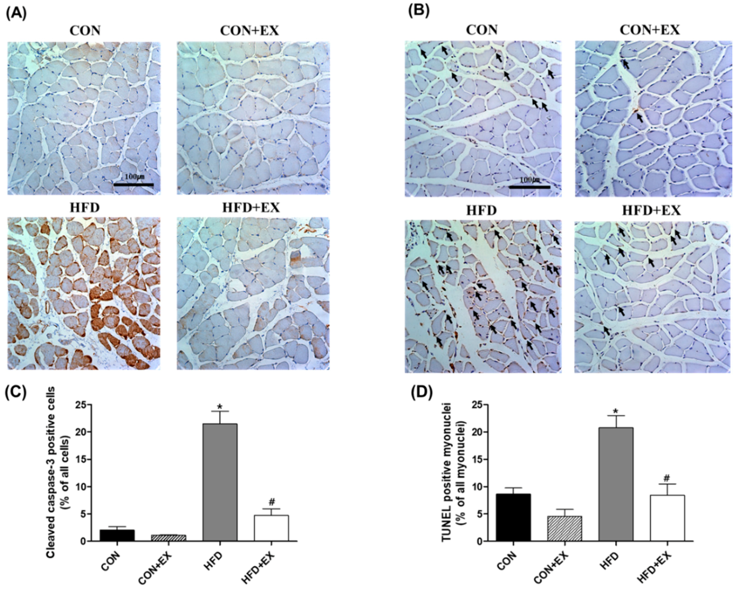 Ijerph 15 02301 g004