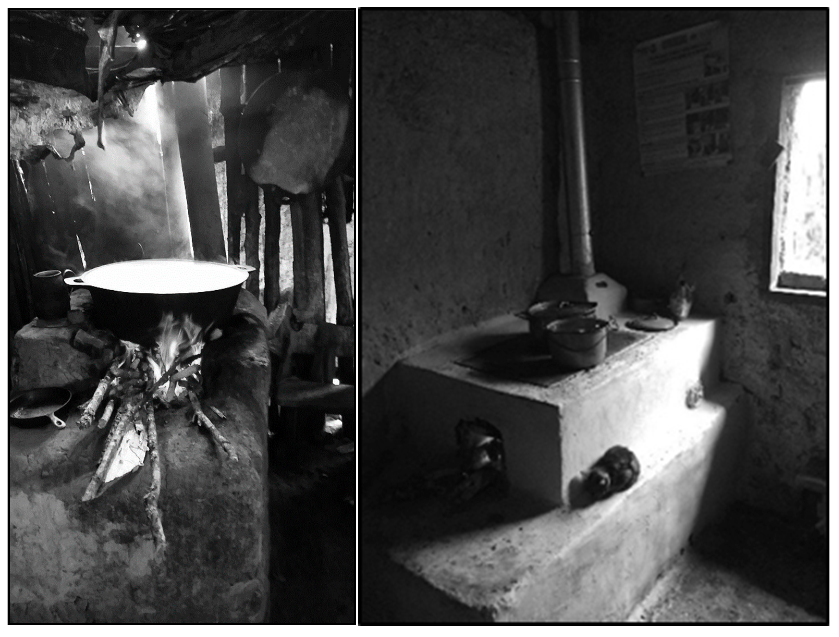 Ijerph 15 02544 g001