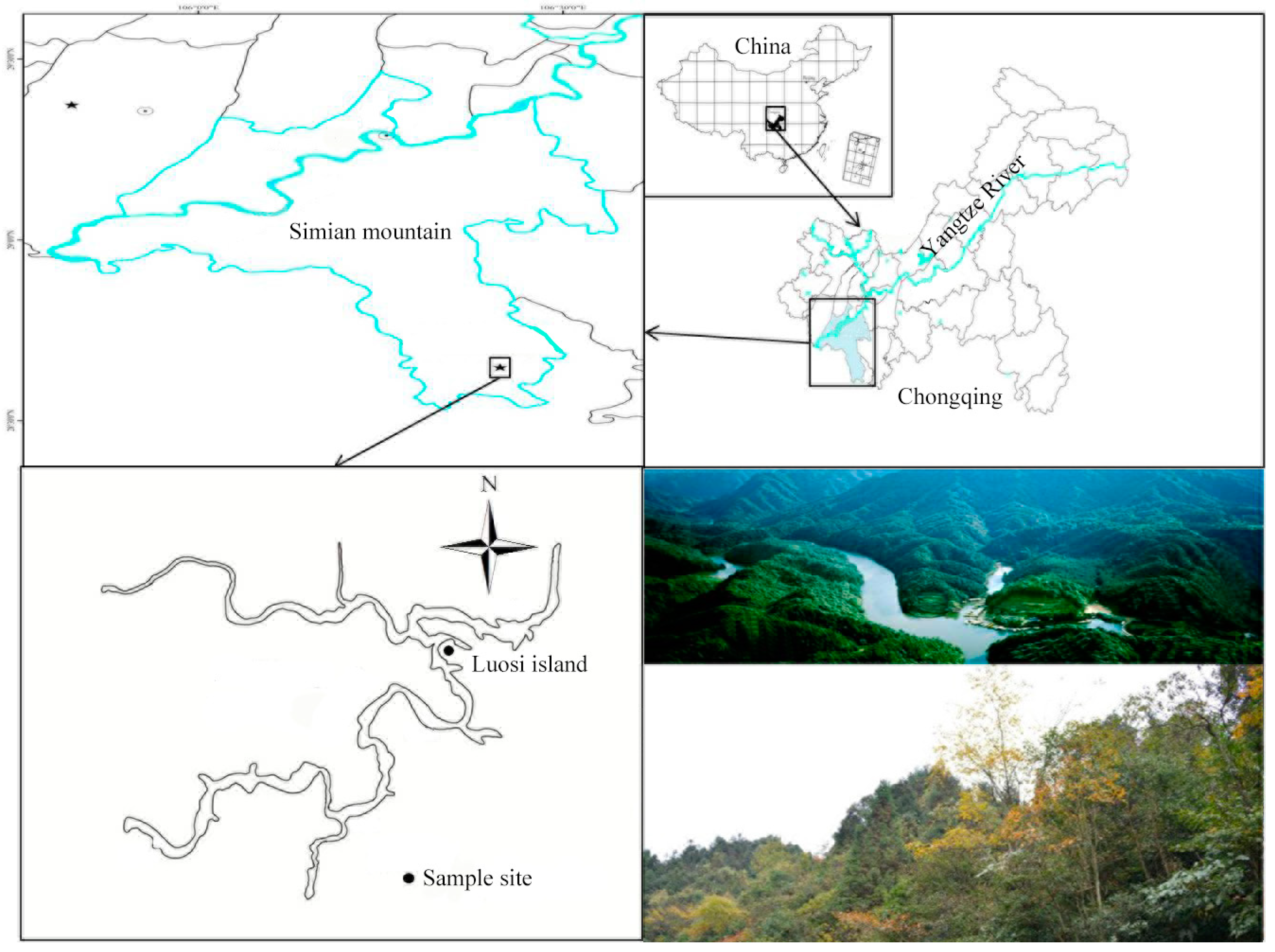 Ijerph 15 02618 g001