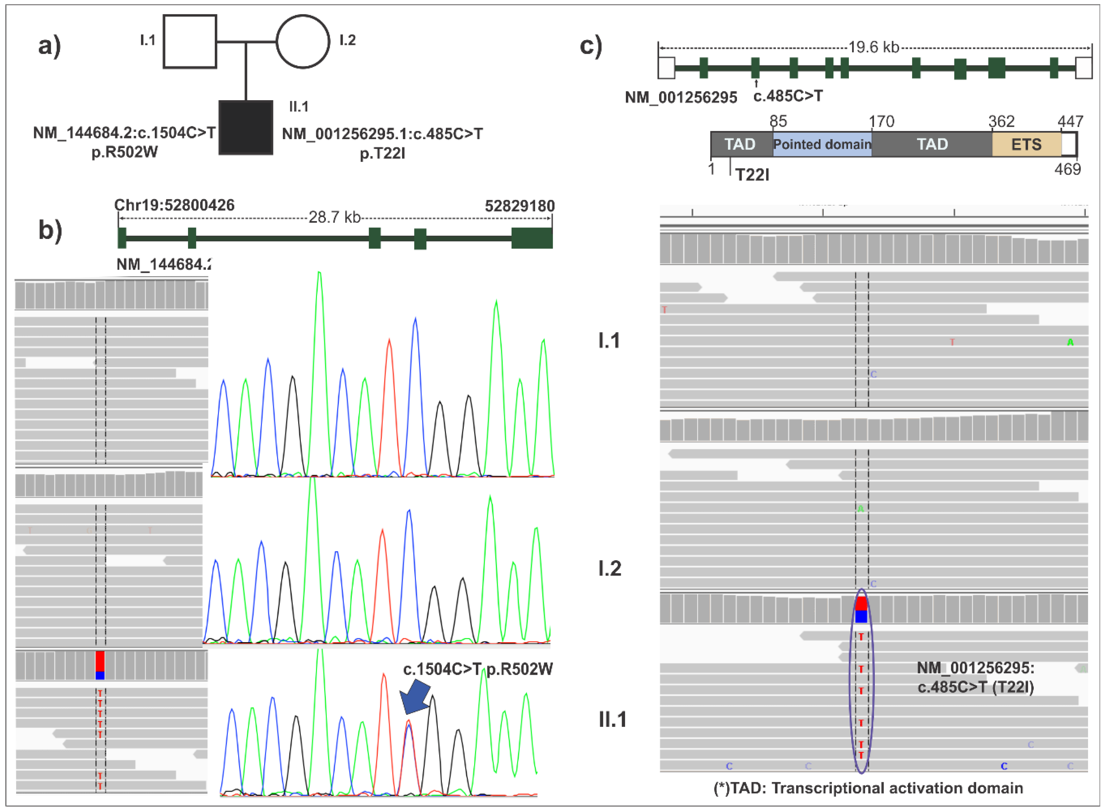 Ijerph 15 02629 g001