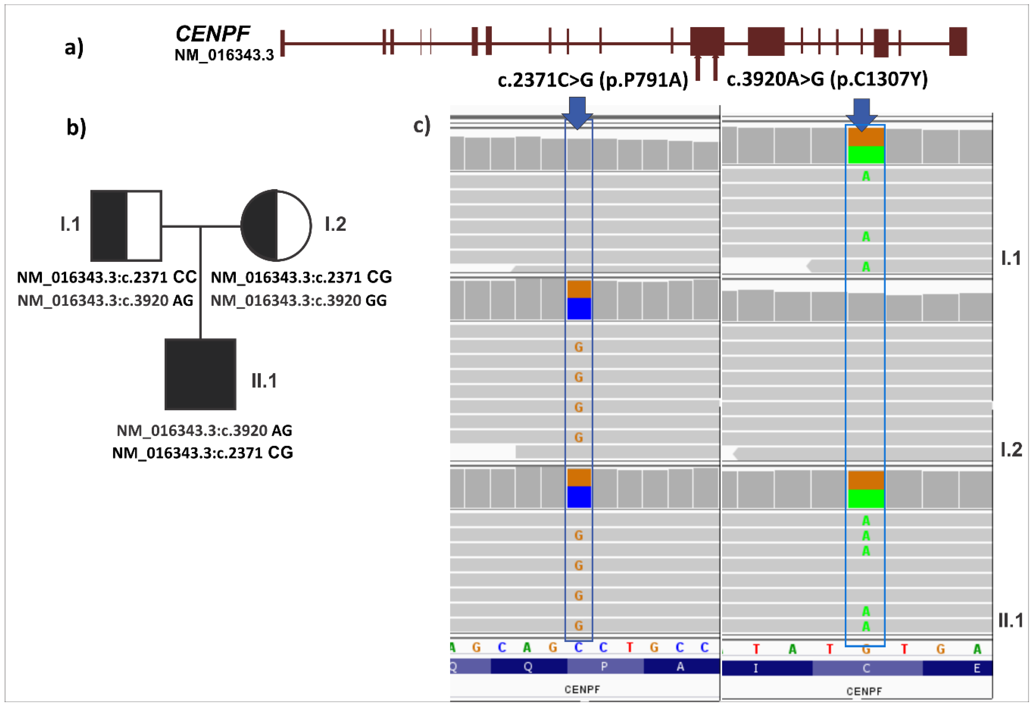 Ijerph 15 02629 g002