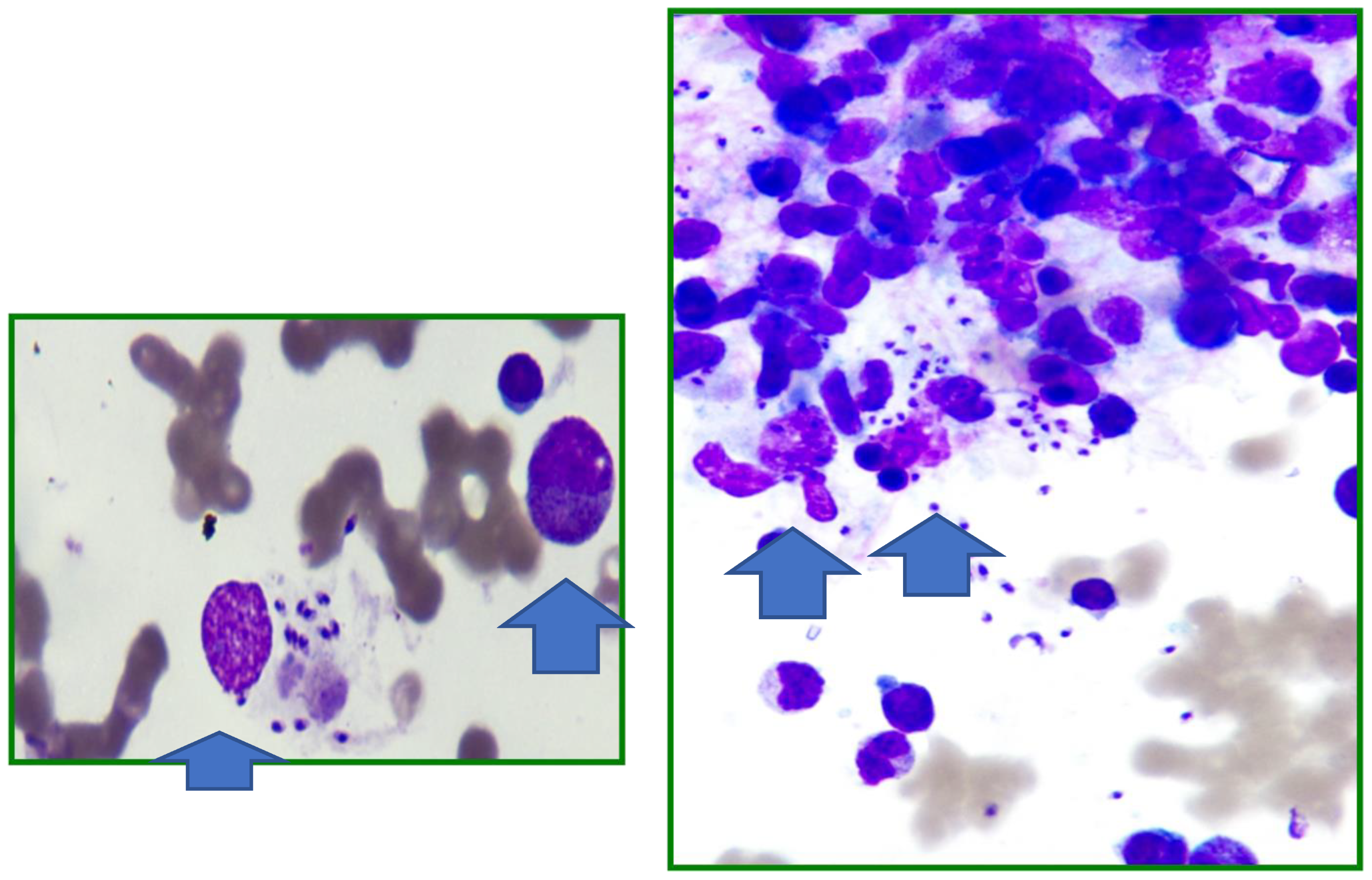 Ijerph 15 02672 g002