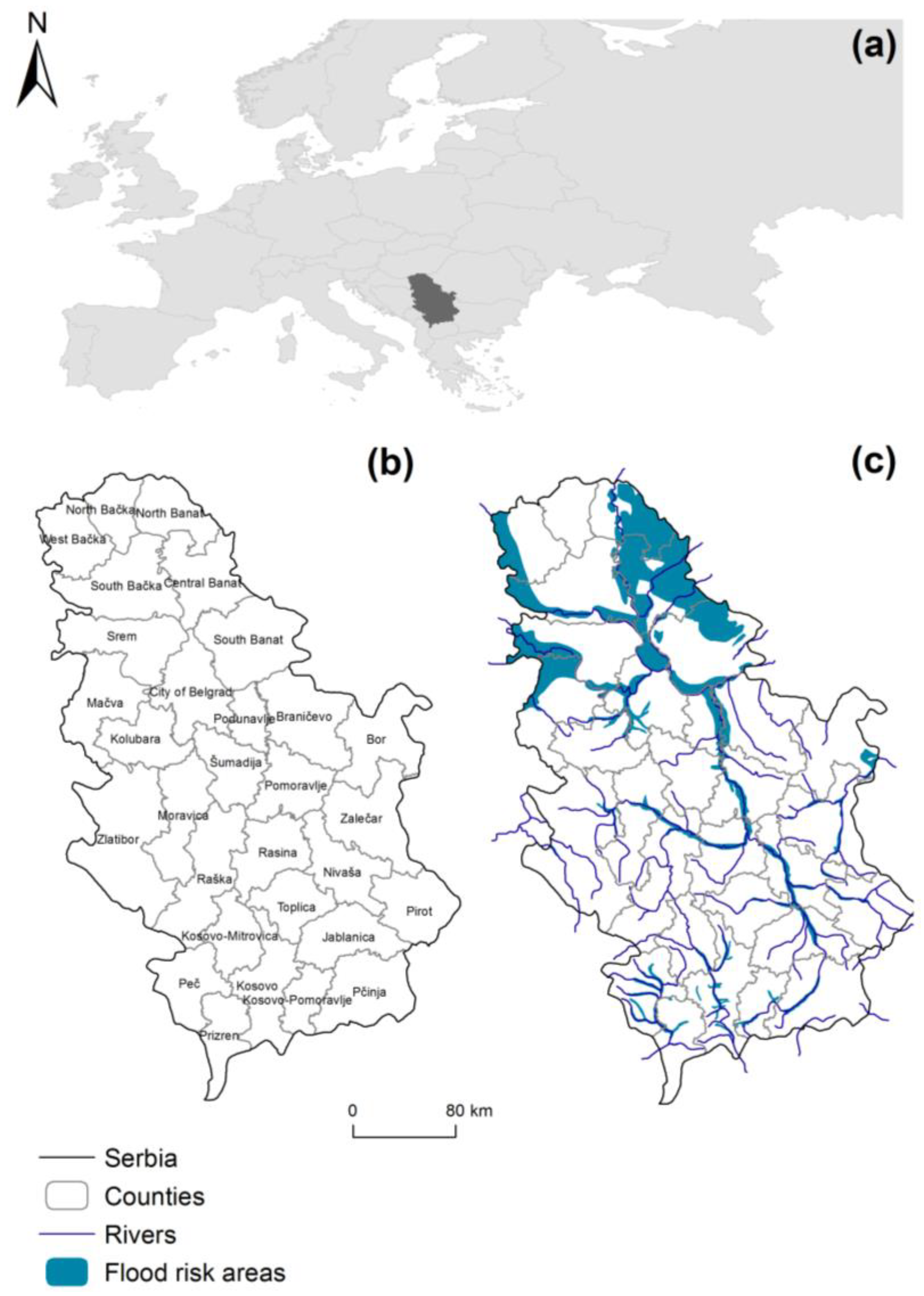 Ijerph 15 02761 g001