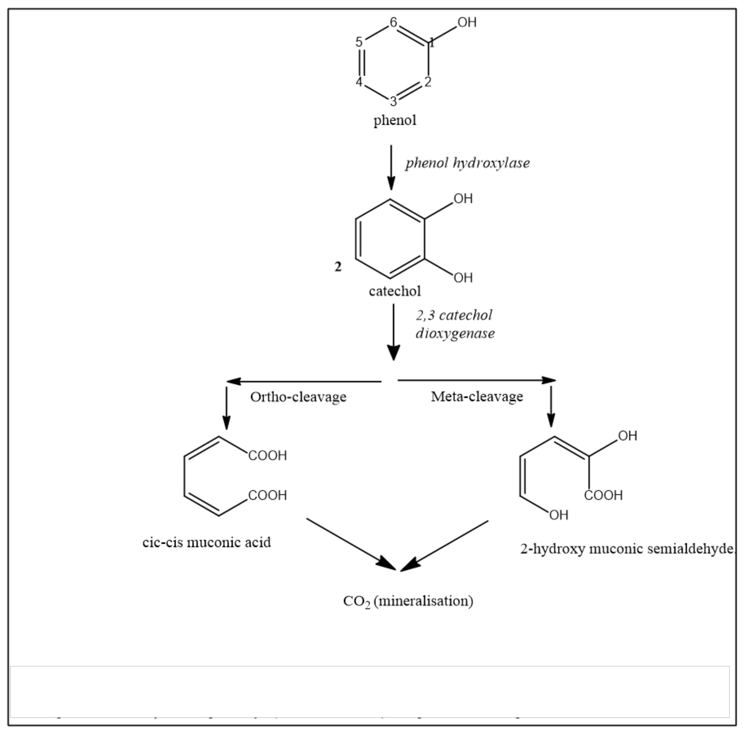 Ijerph 15 02782 g003