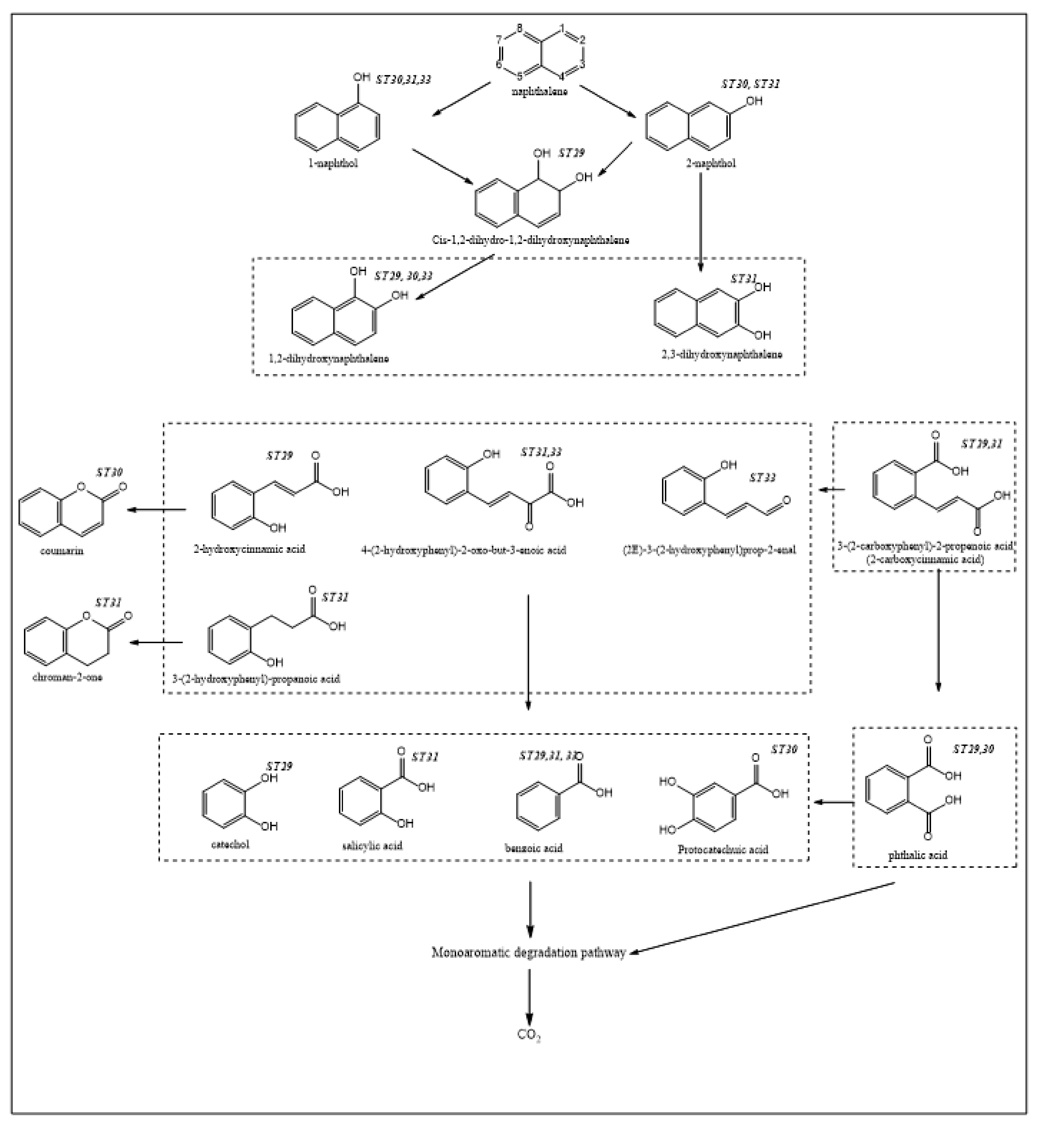 Ijerph 15 02782 g004