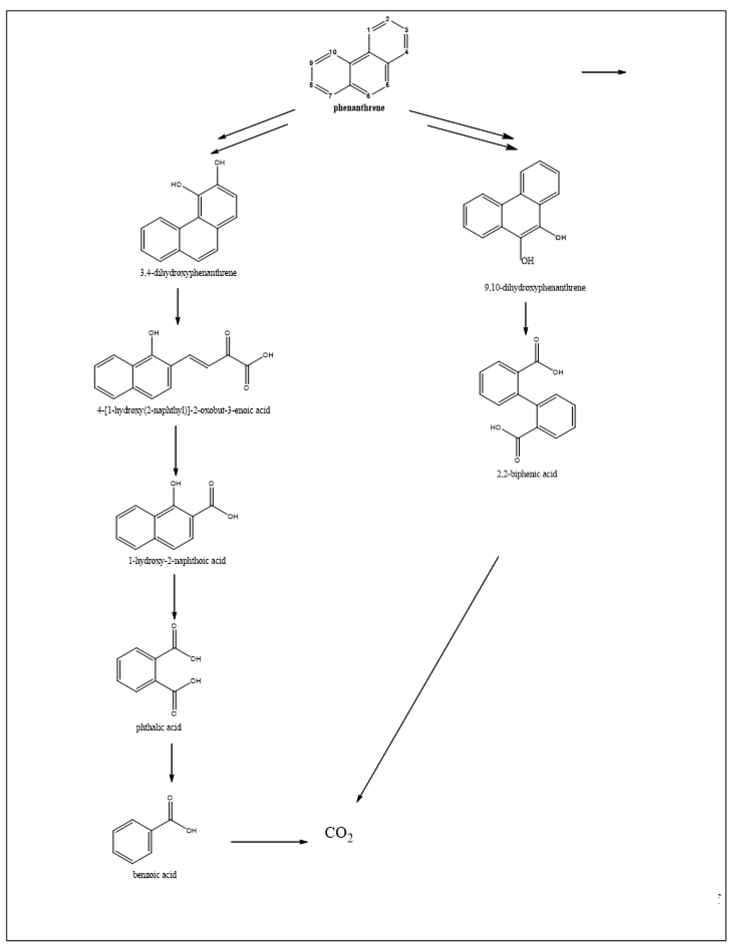 Ijerph 15 02782 g005