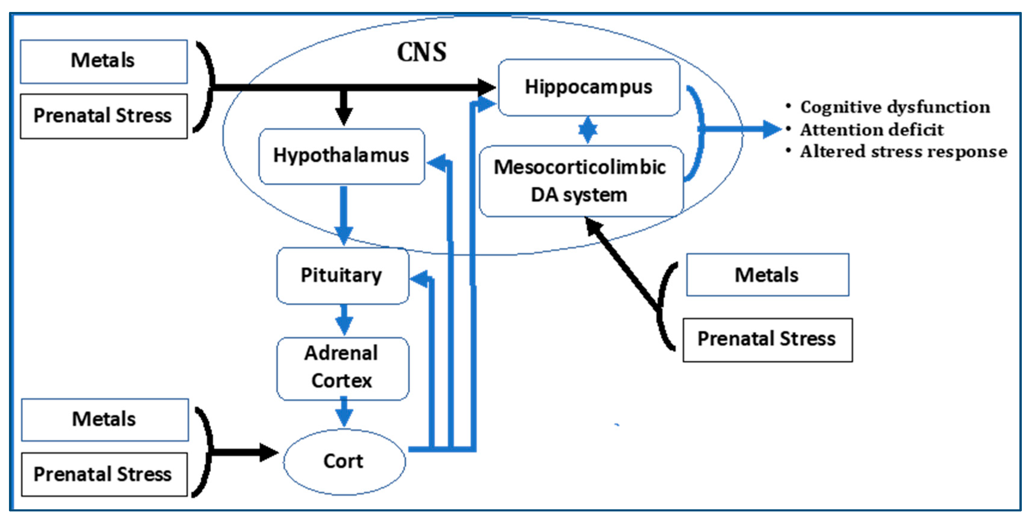 Ijerph 15 02797 g001