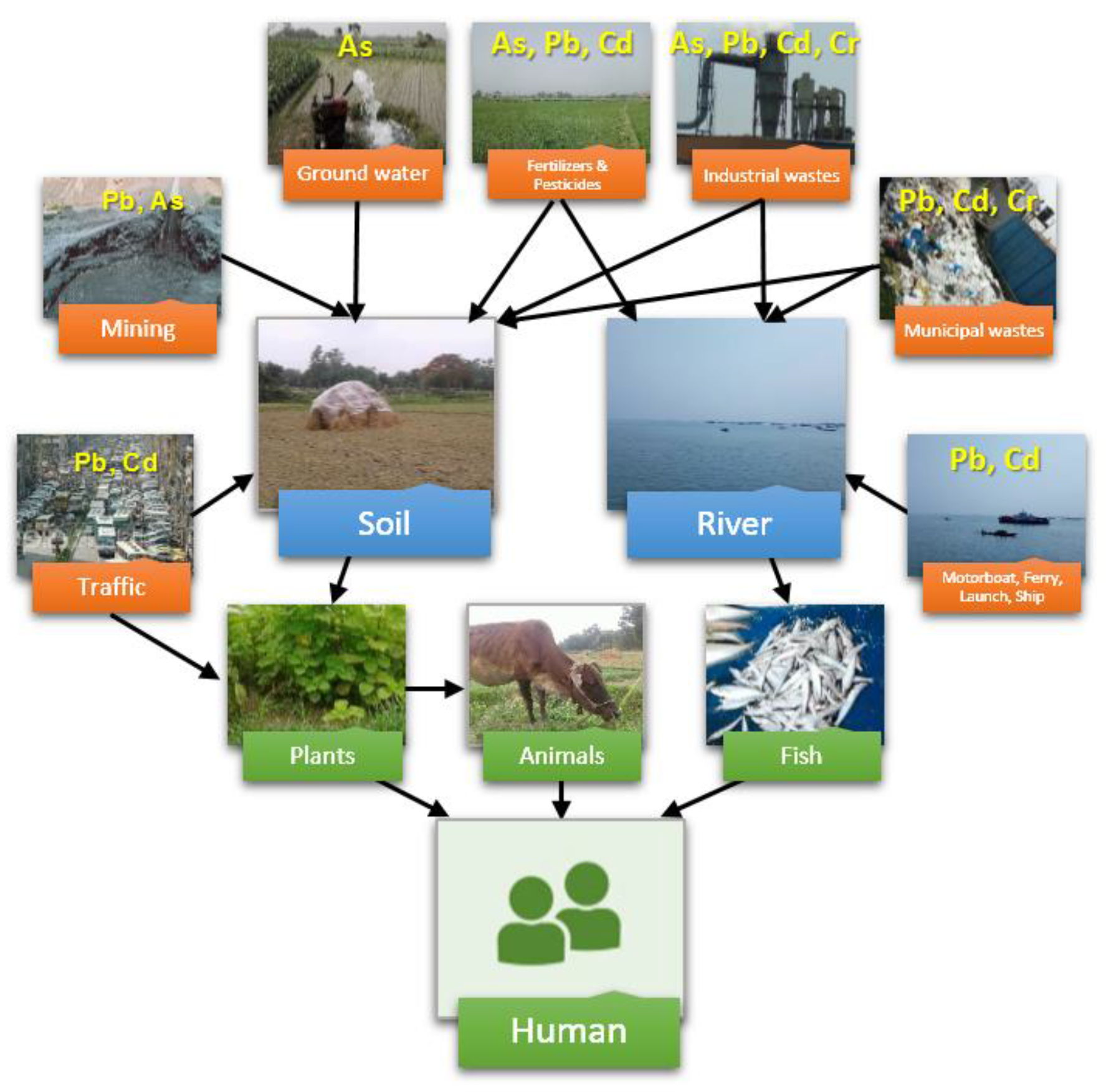 Ijerph 15 02825 g001