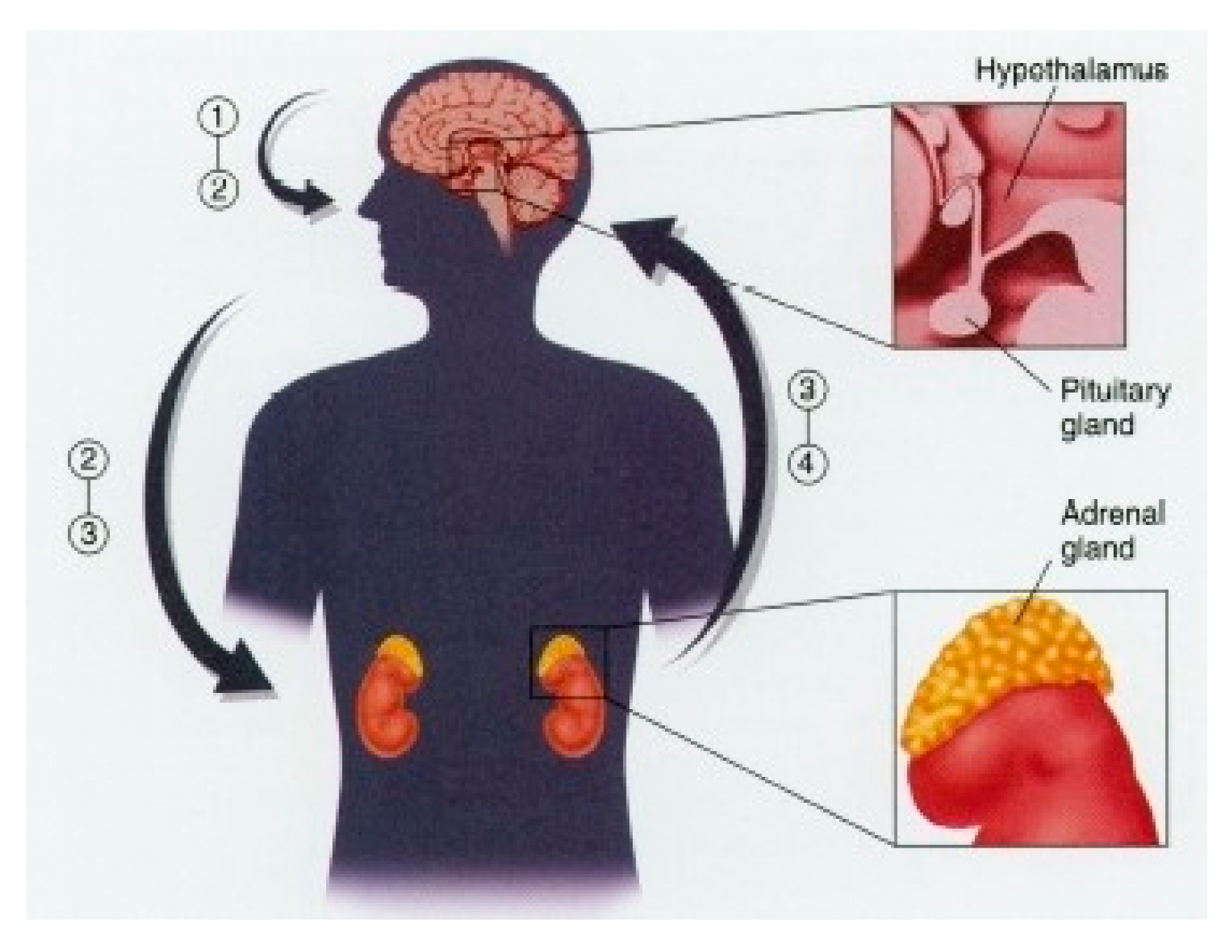 Ijerph 15 02847 g001