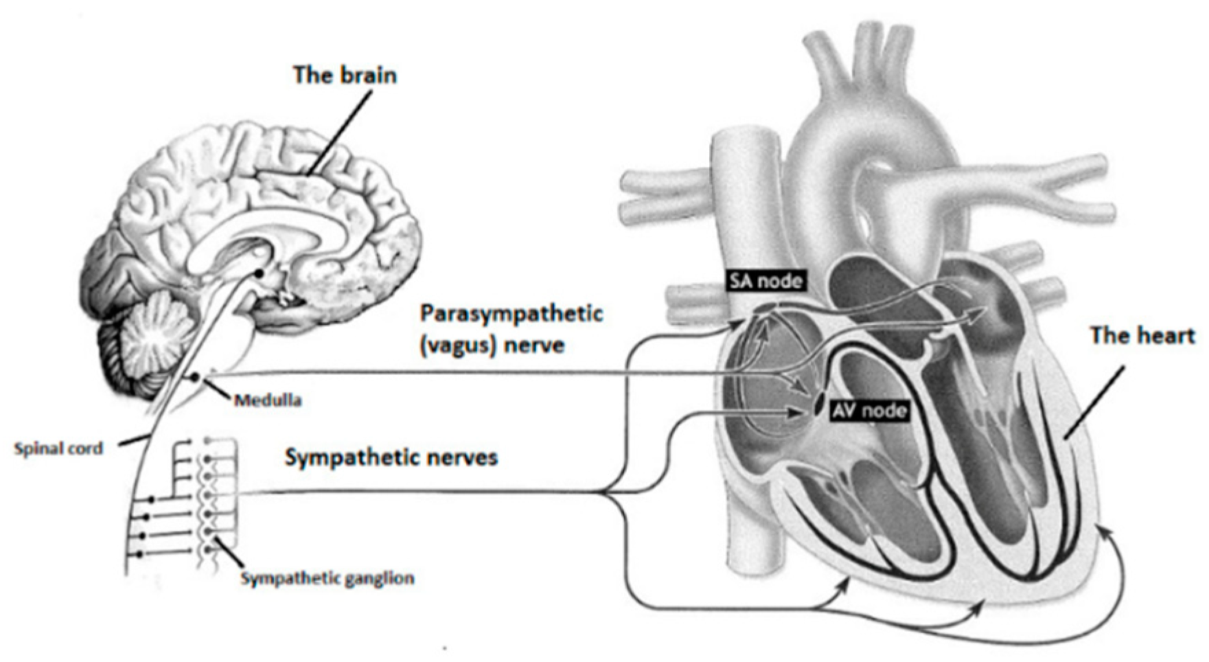 Ijerph 15 02847 g003