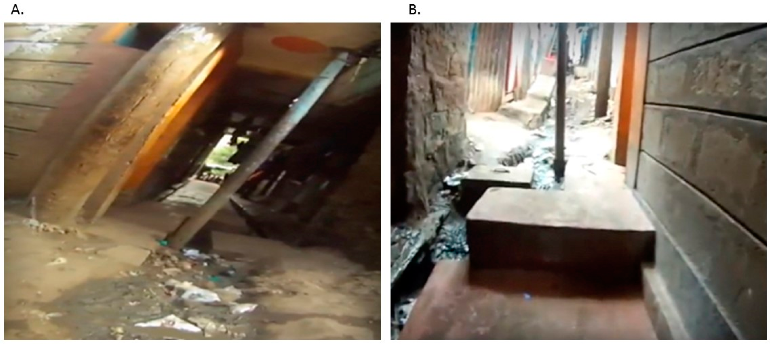 Ijerph 16 00033 g002