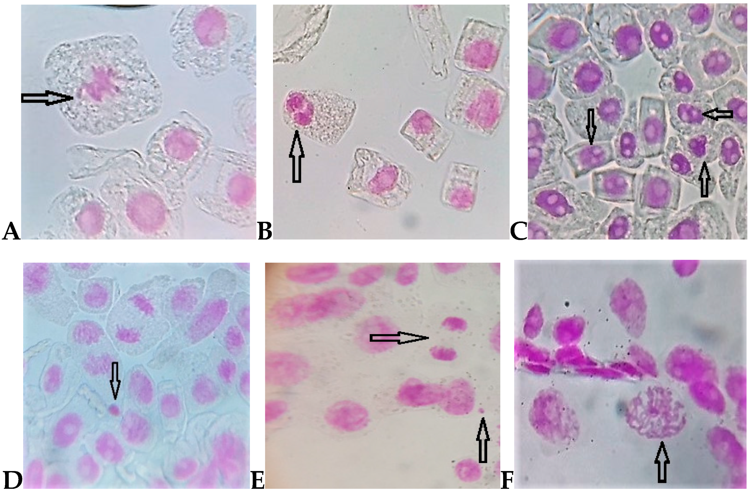 Ijerph 16 00075 g004