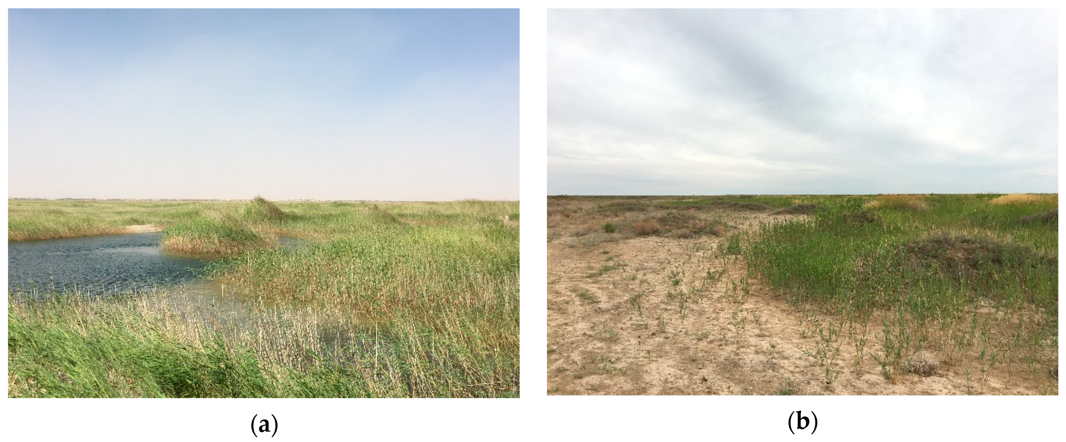 Ijerph 16 00145 g008