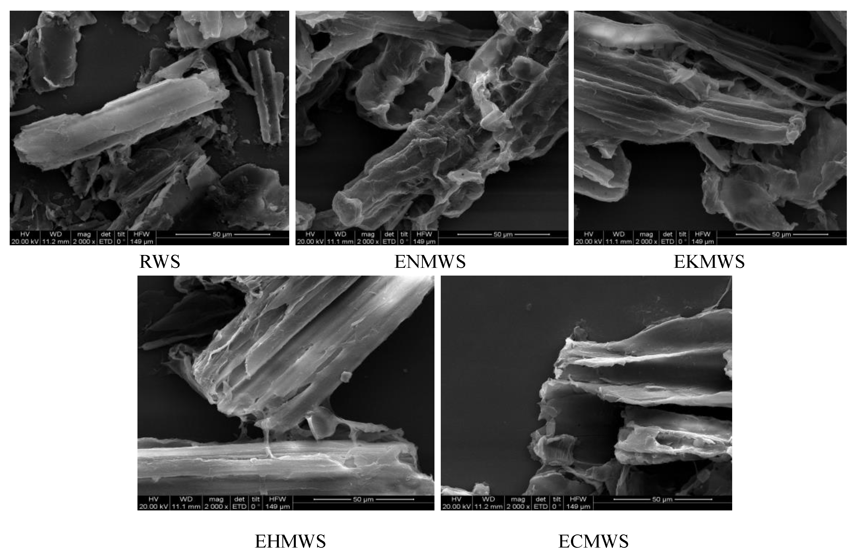 Ijerph 16 00205 g007