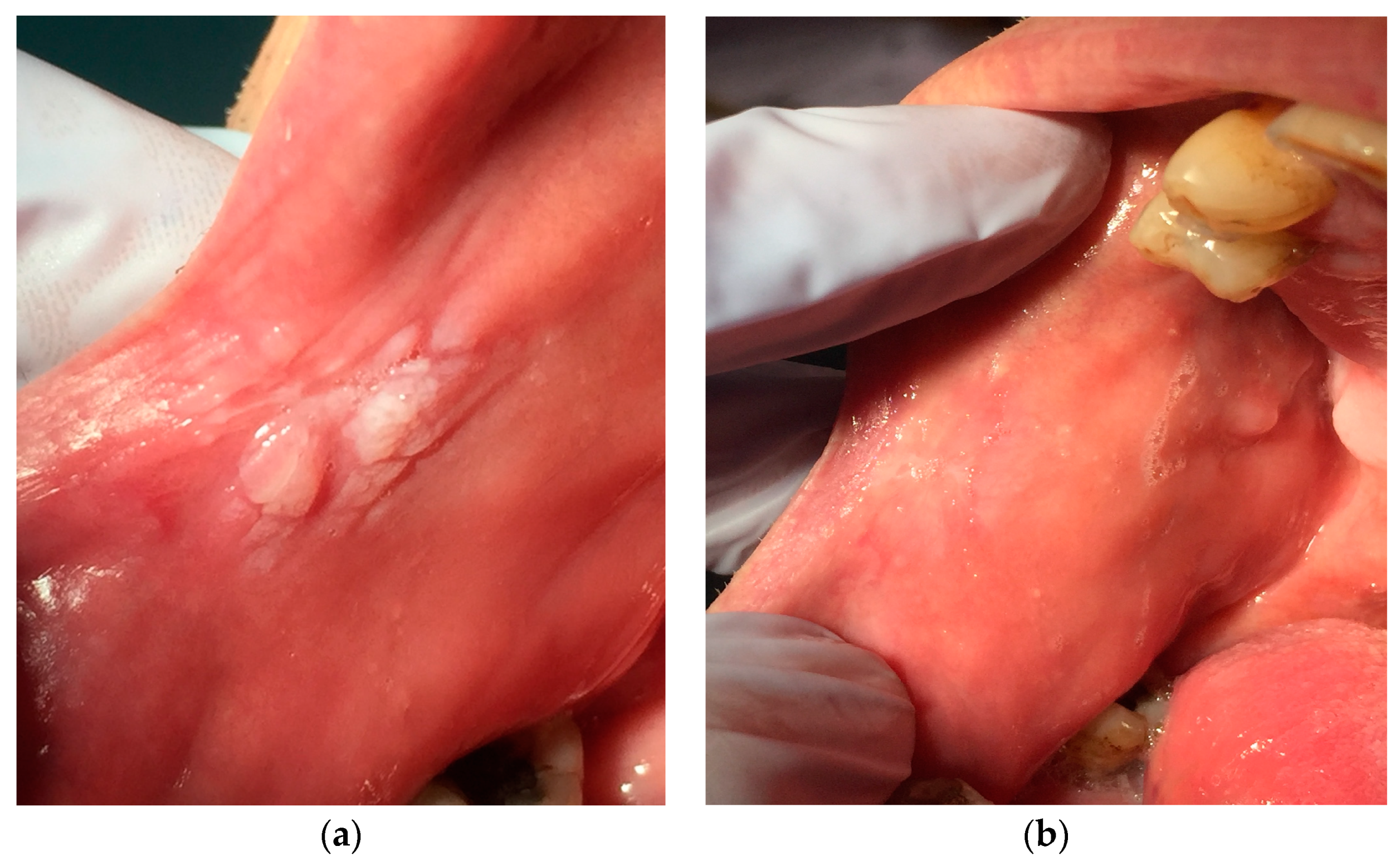 Ijerph 16 00210 g005