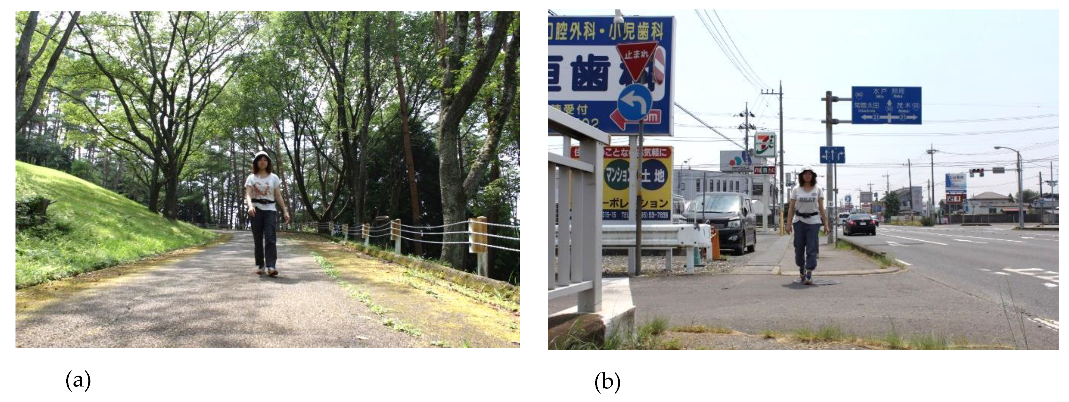 Ijerph 16 00229 g001 Ijerph 16 00229 g001