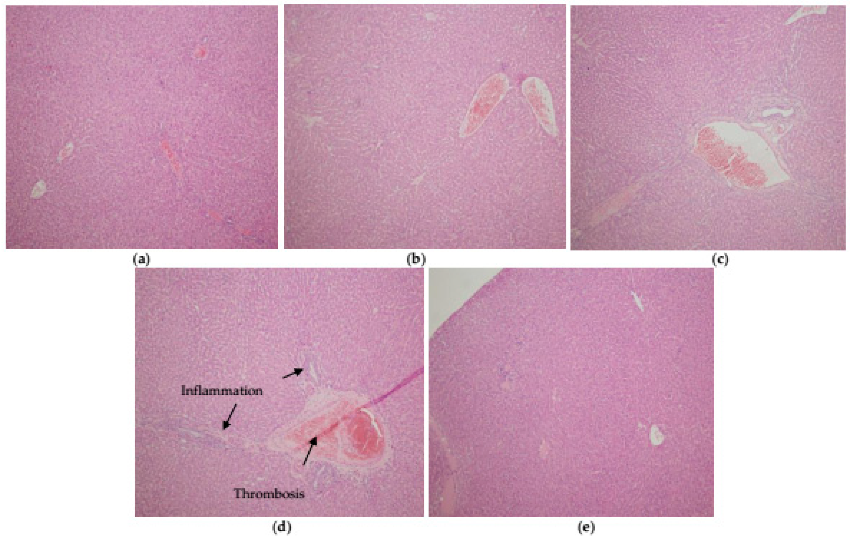 Ijerph 16 00274 g005