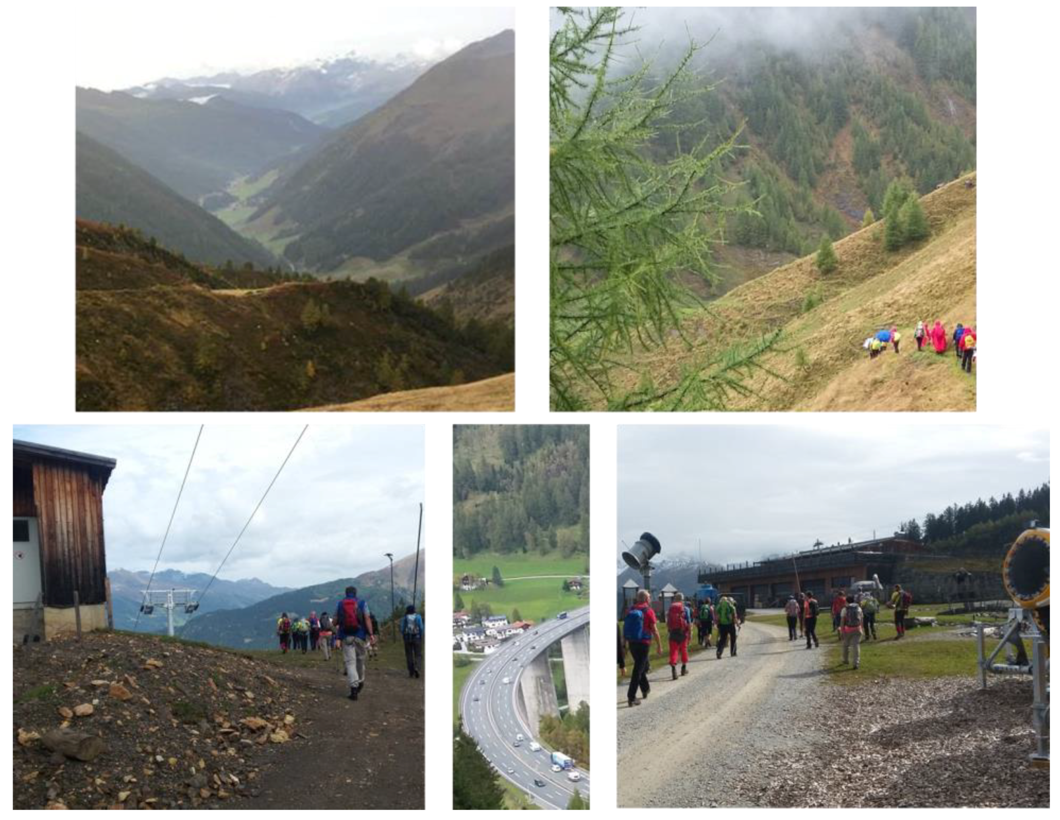 Ijerph 16 00290 g003