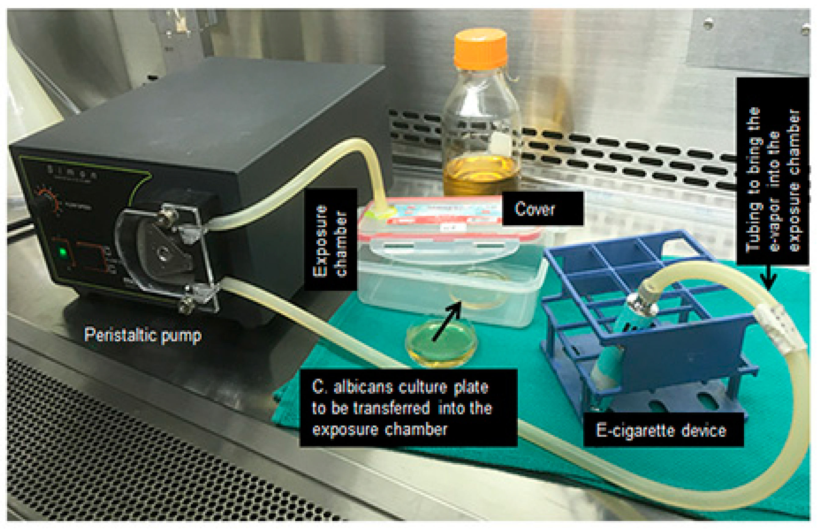 Ijerph 16 00294 g001