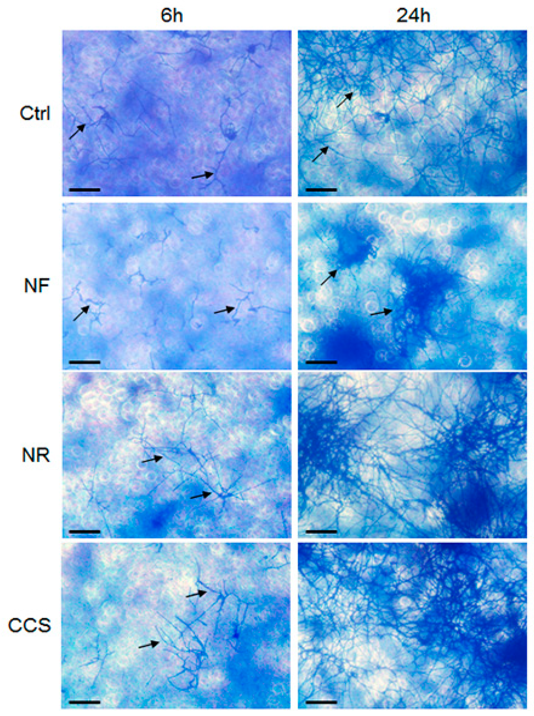Ijerph 16 00294 g006