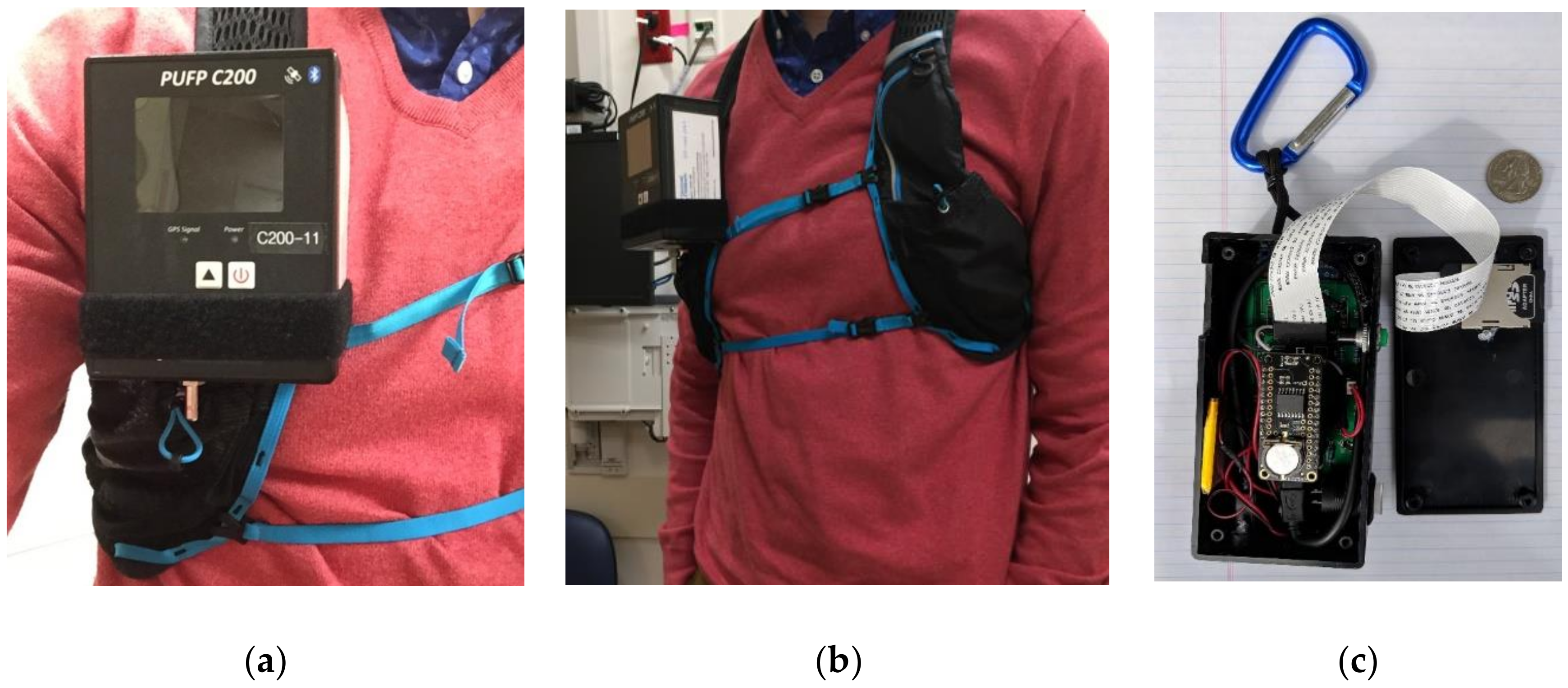 Ijerph 16 00308 g001