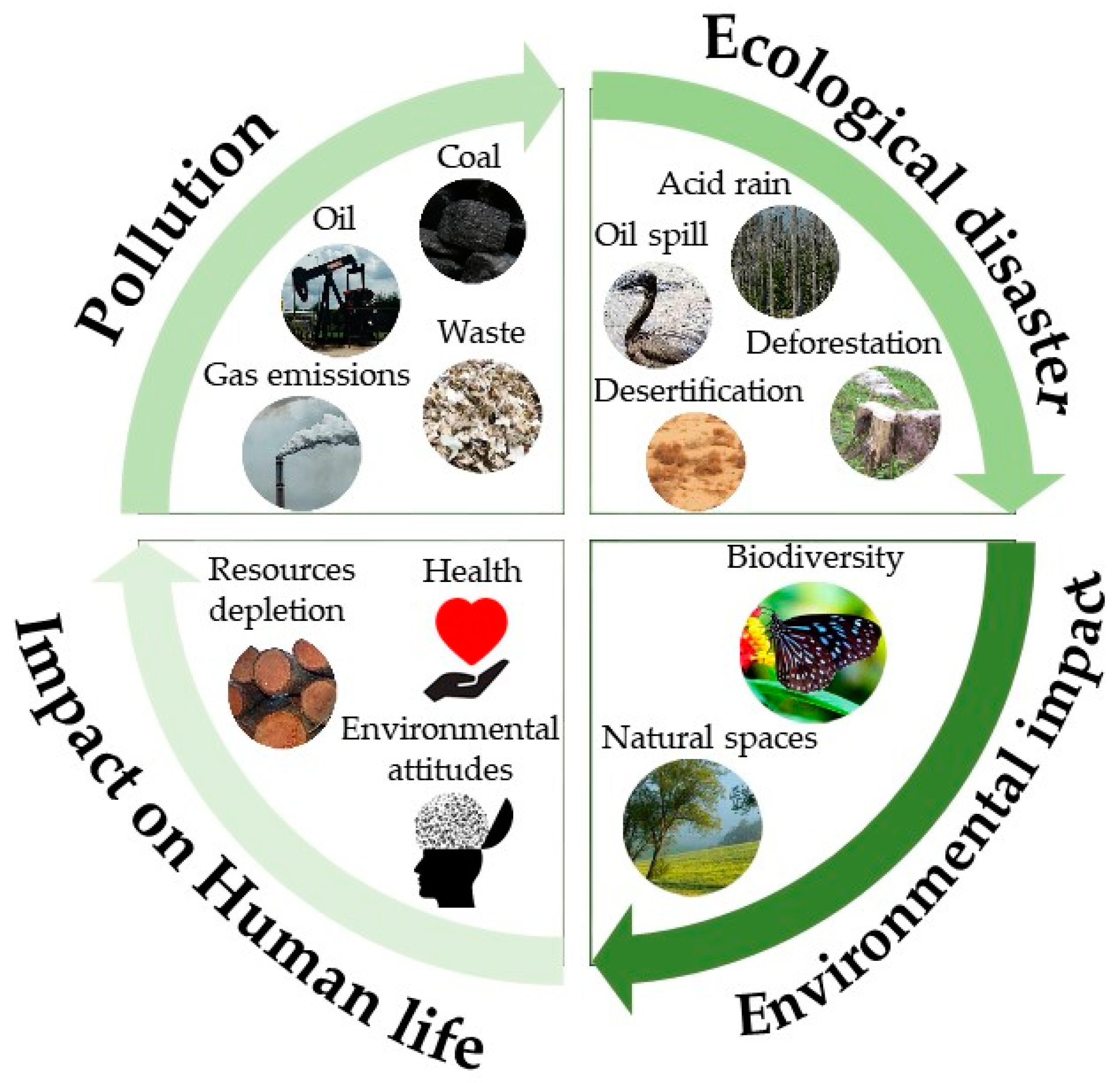 Ijerph 16 00362 g001