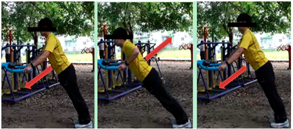 Ijerph 16 00391 i024