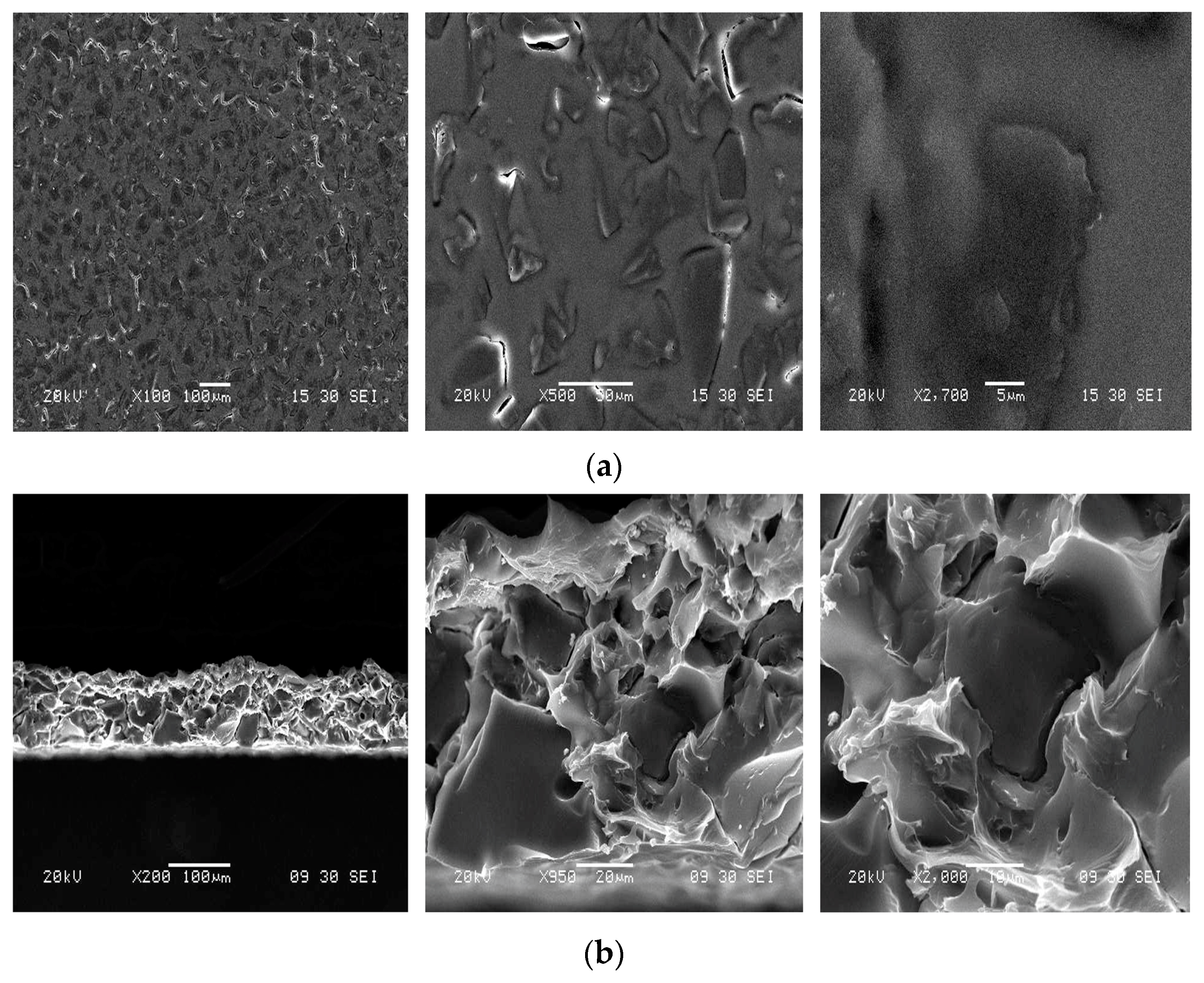 Ijerph 16 00414 g003