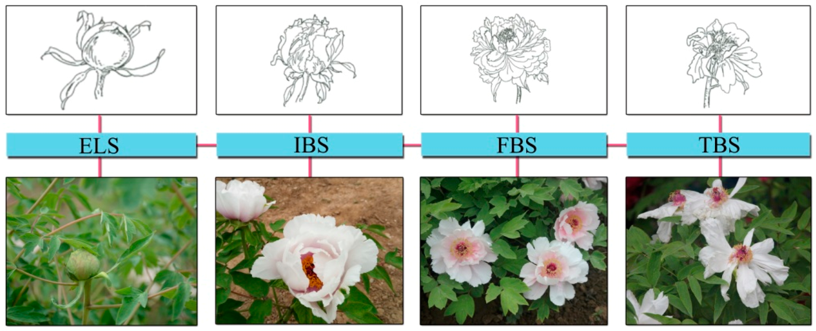 Ijerph 16 00439 g002 Ijerph 16 00439 g002