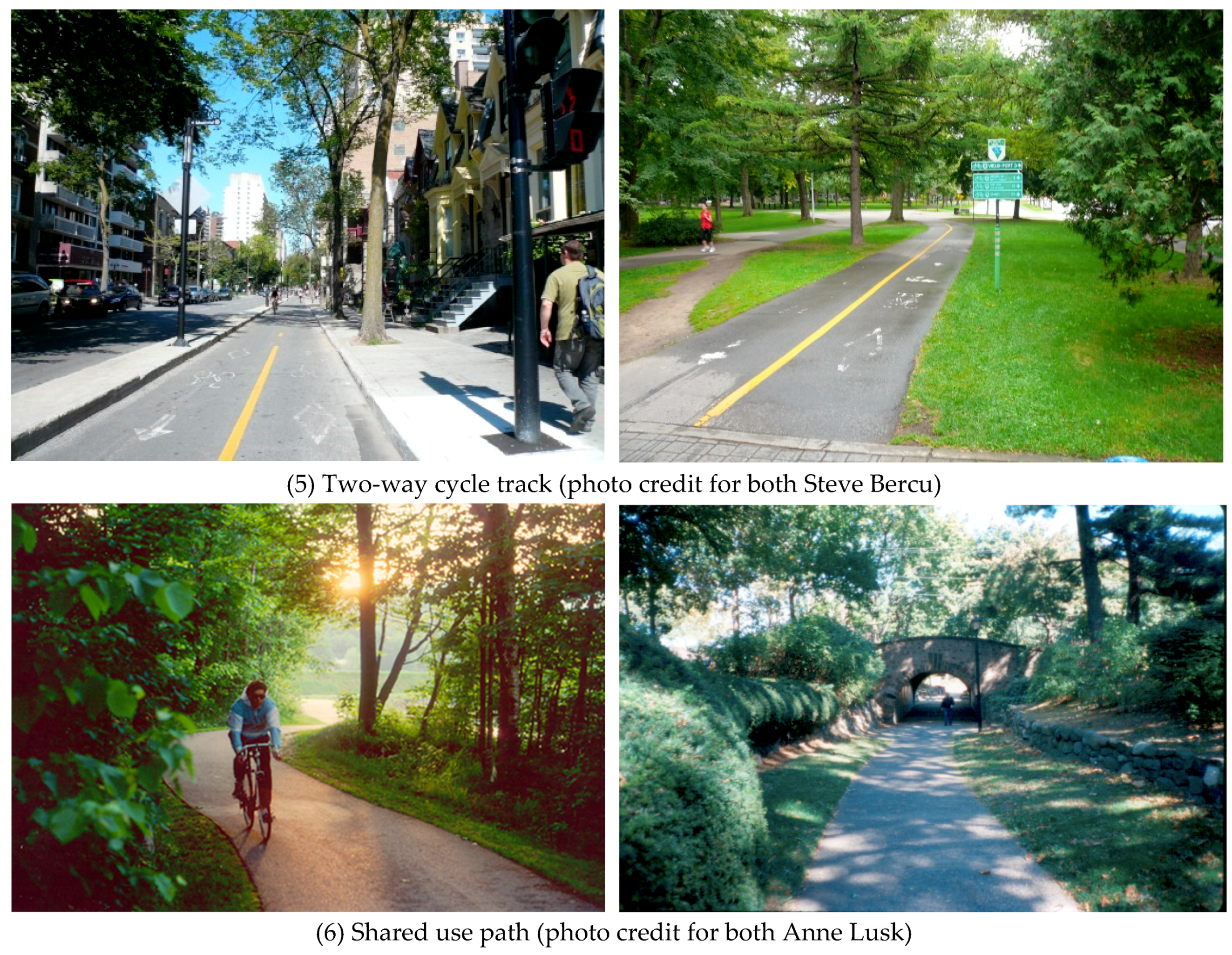 Ijerph 16 00484 g001c