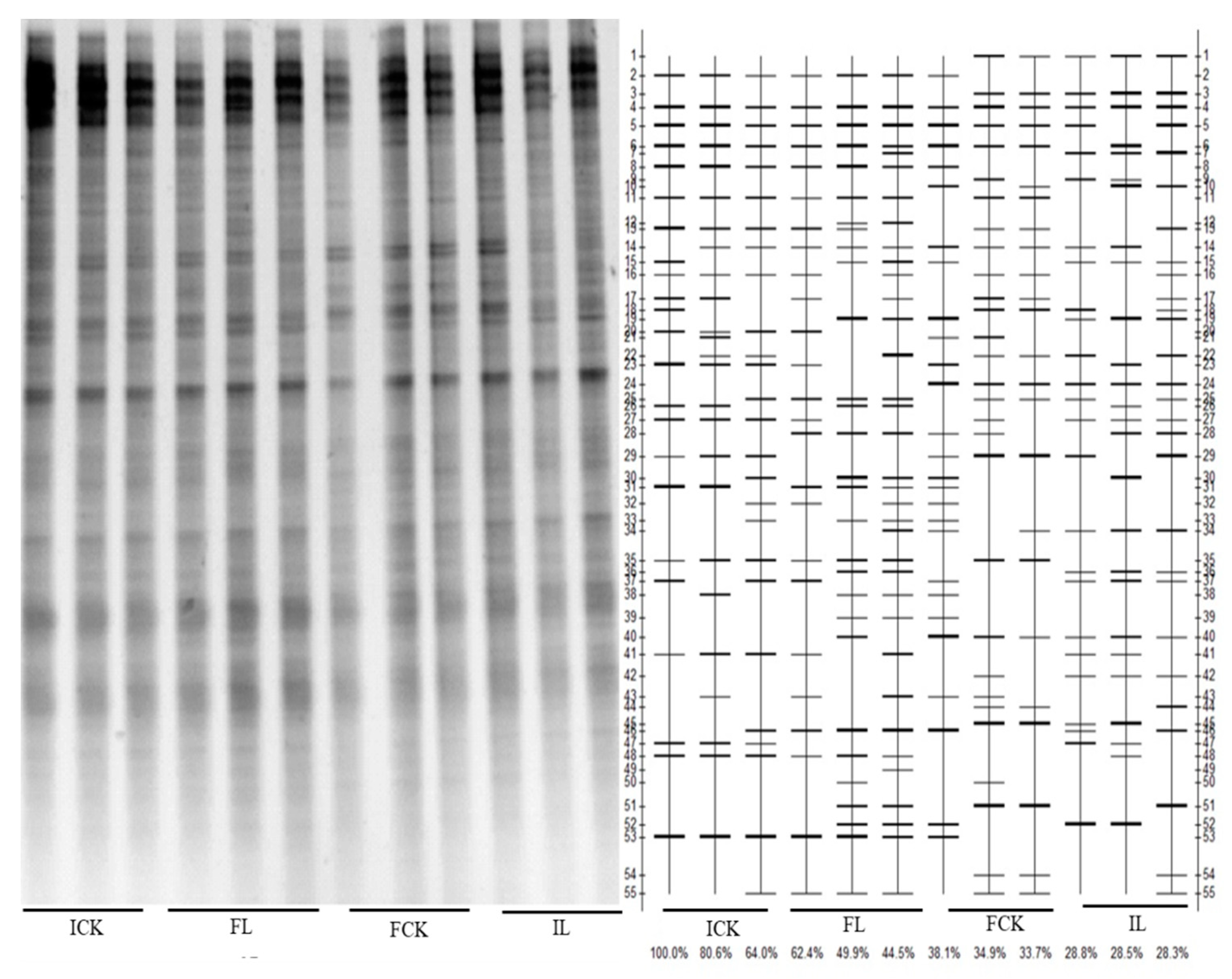 Ijerph 16 00498 g003