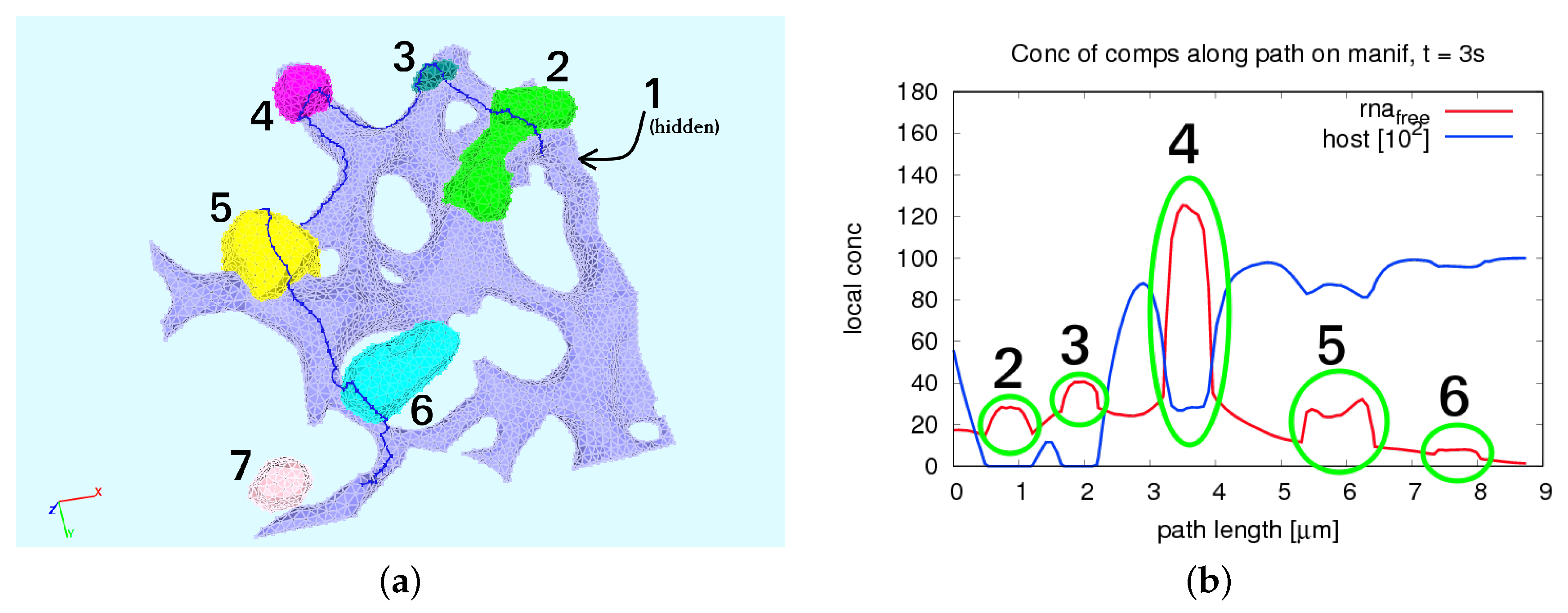 Ijerph 16 00513 g009