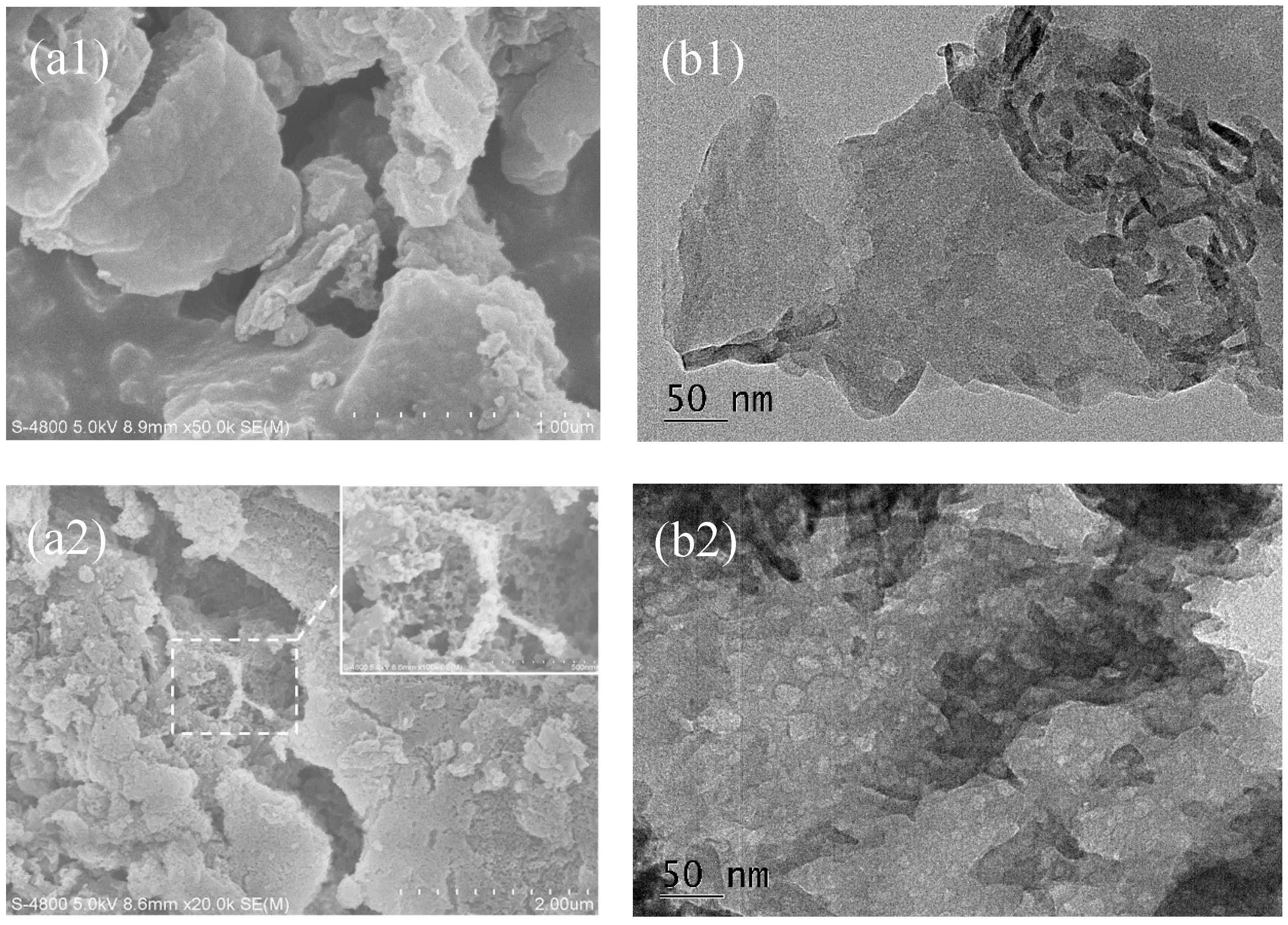 Ijerph 16 00581 g003