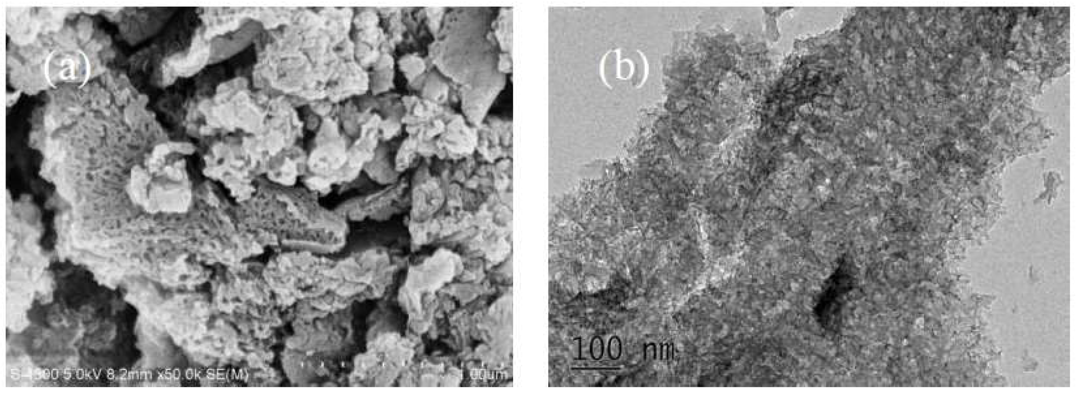 Ijerph 16 00581 g014