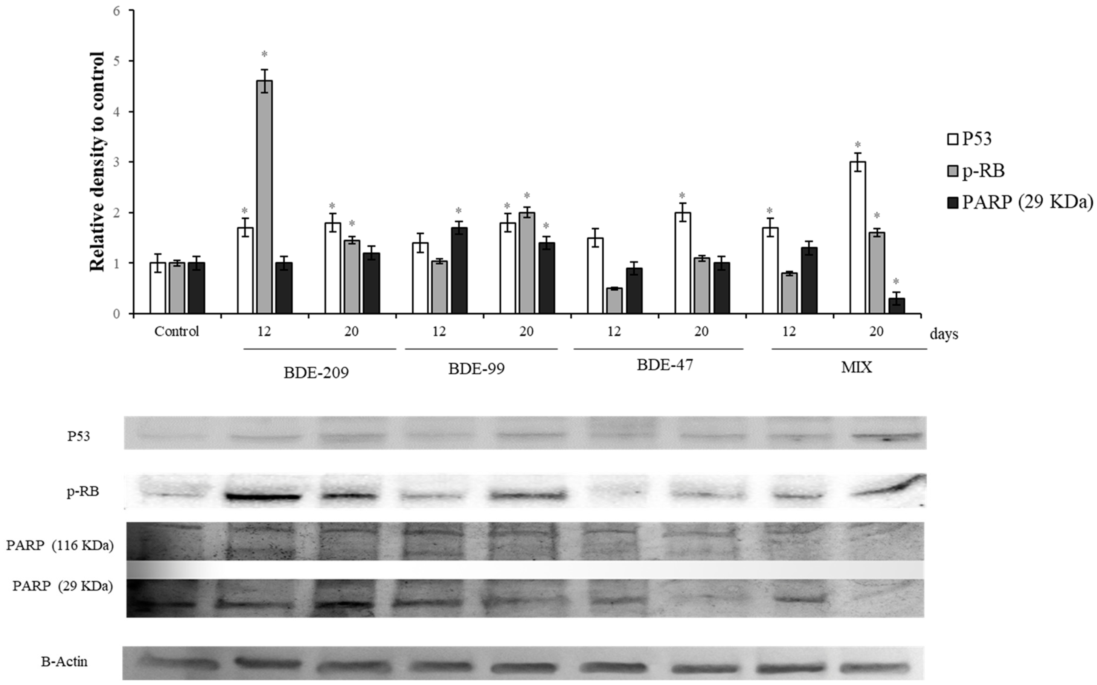 Ijerph 16 00588 g003