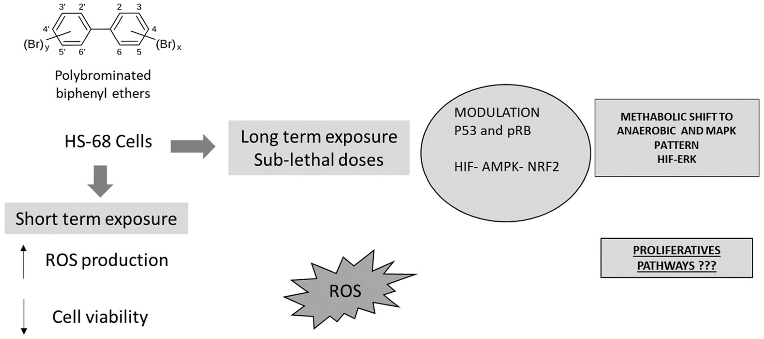 Ijerph 16 00588 g006