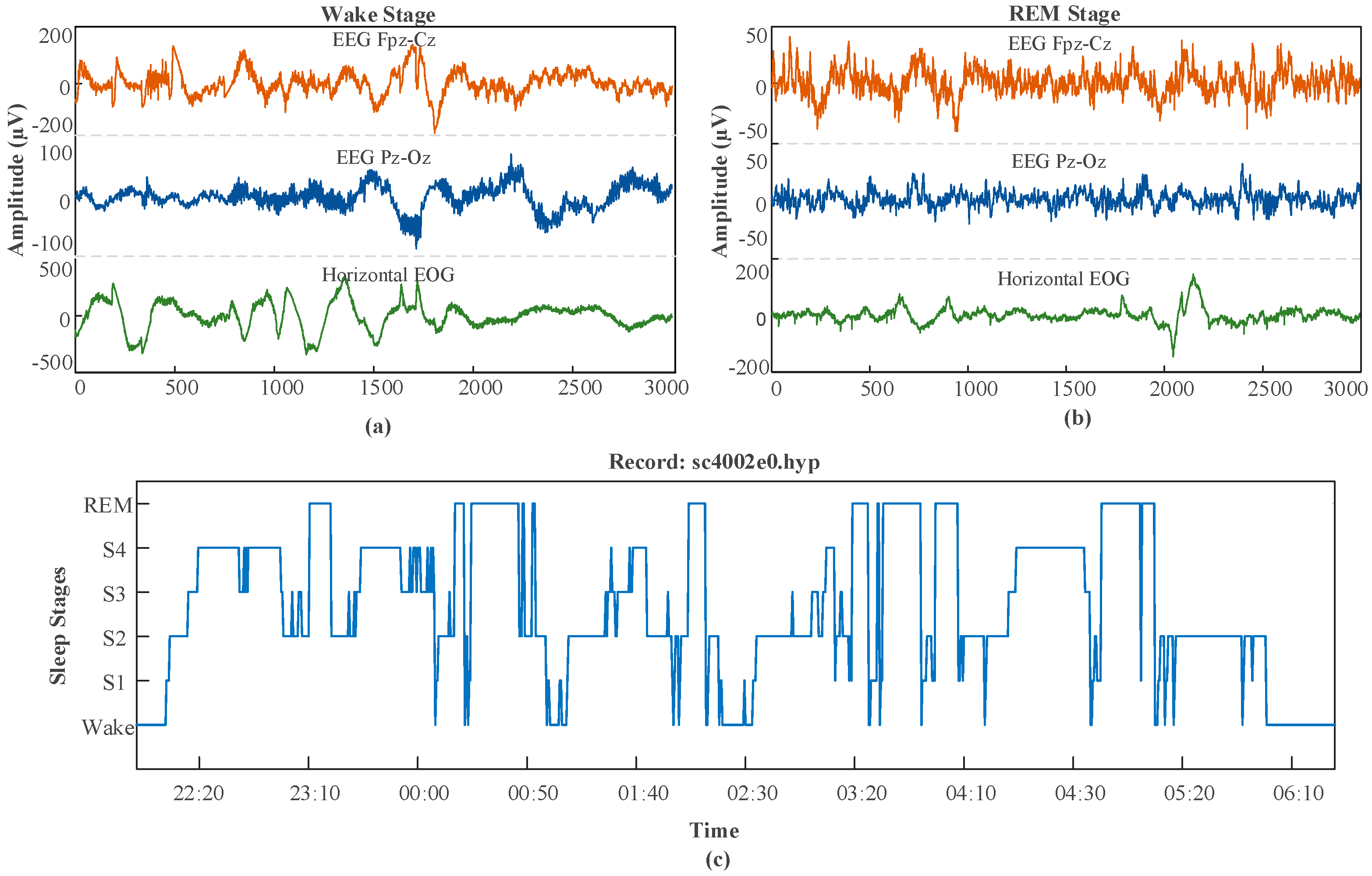 Ijerph 16 00599 g001