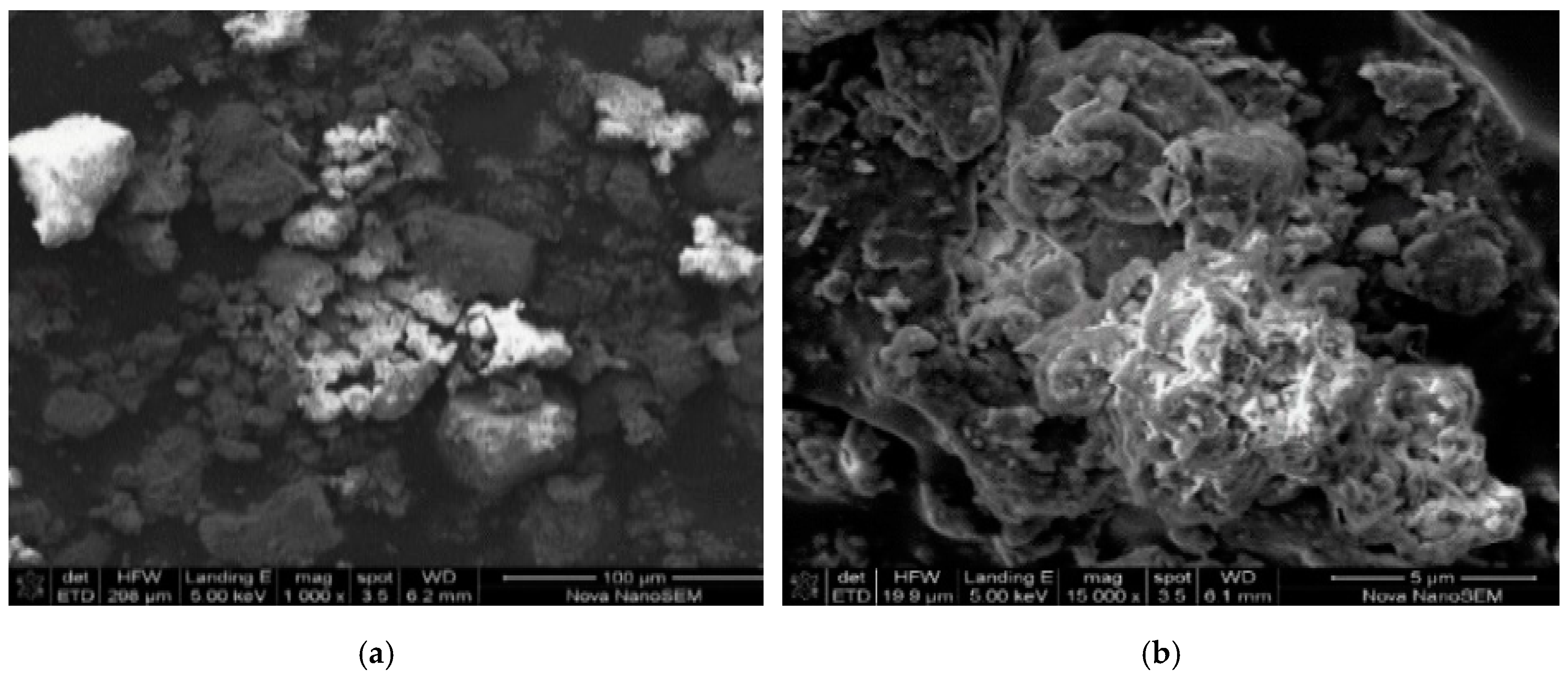 Ijerph 16 00654 g001a