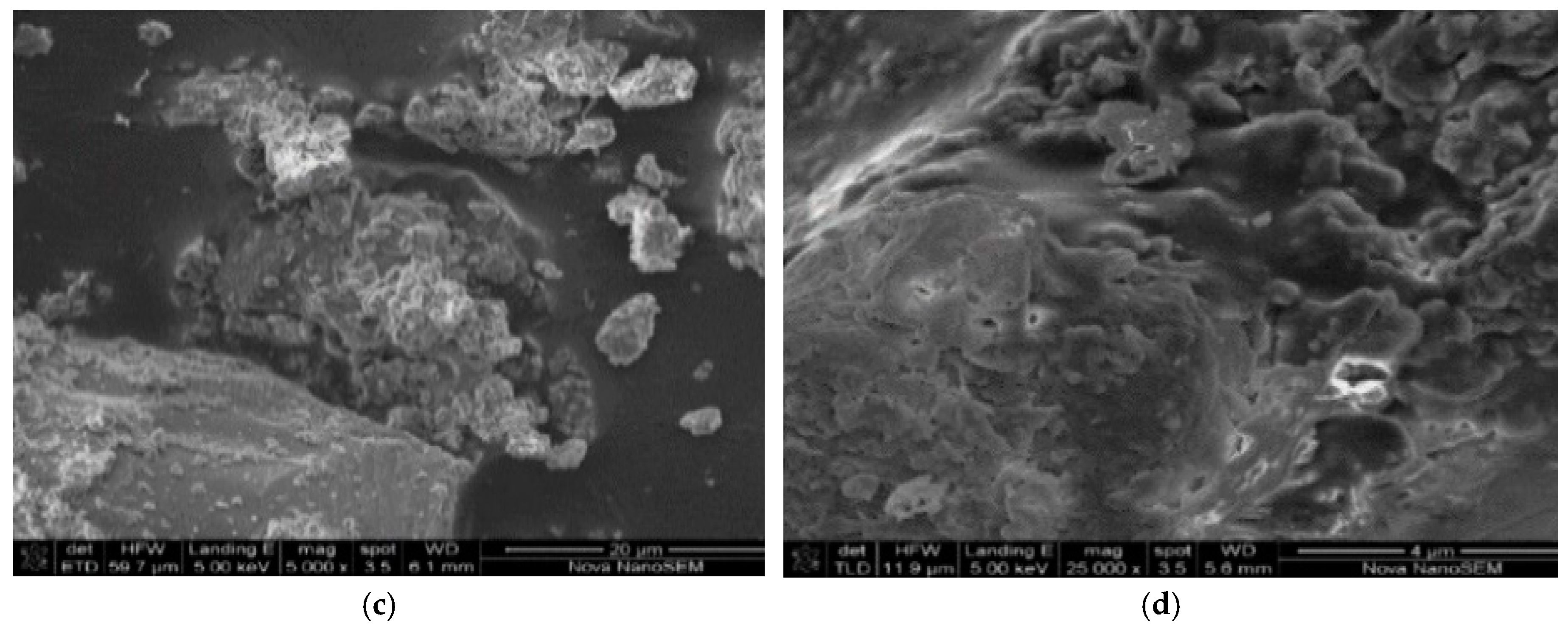 Ijerph 16 00654 g001b