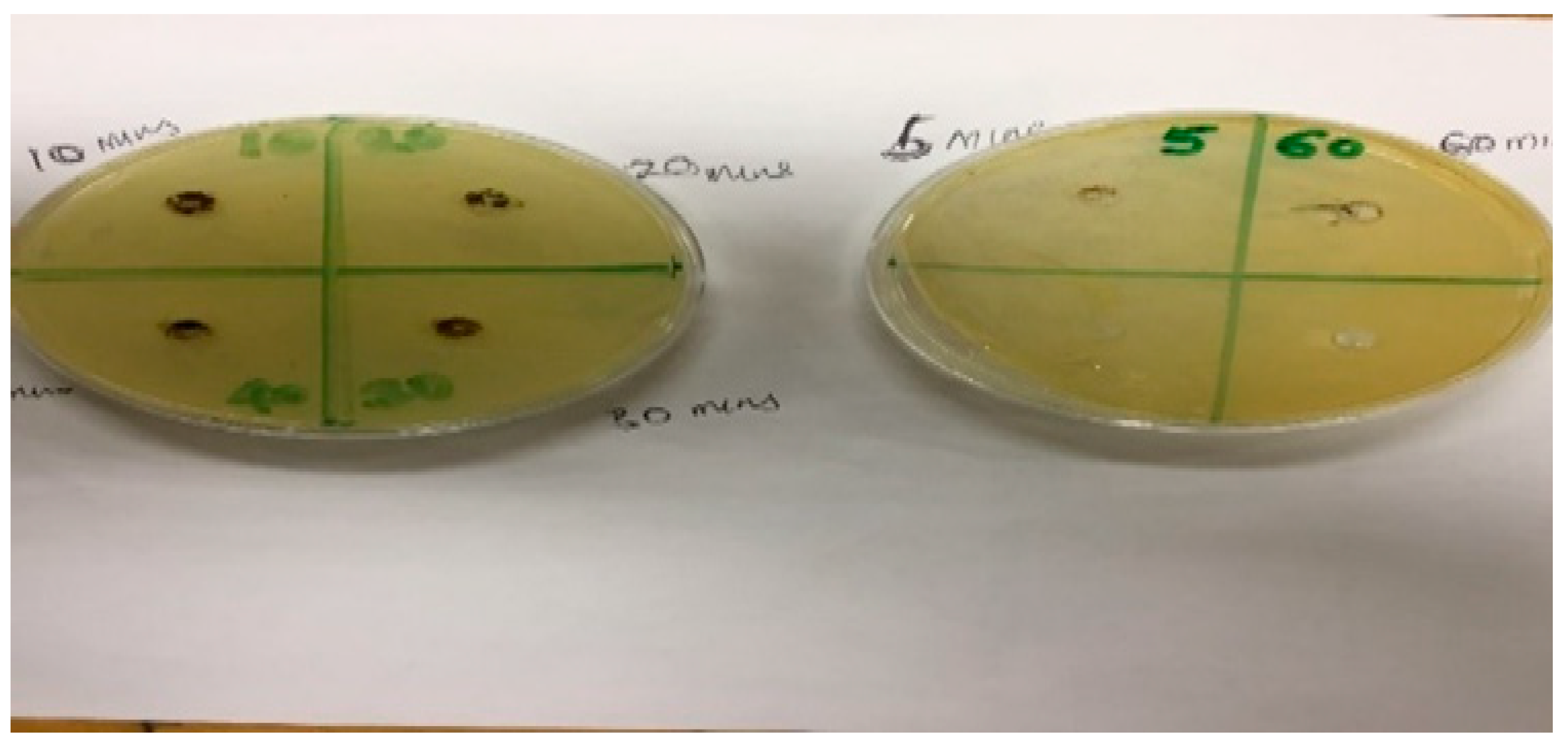 Ijerph 16 00654 g008