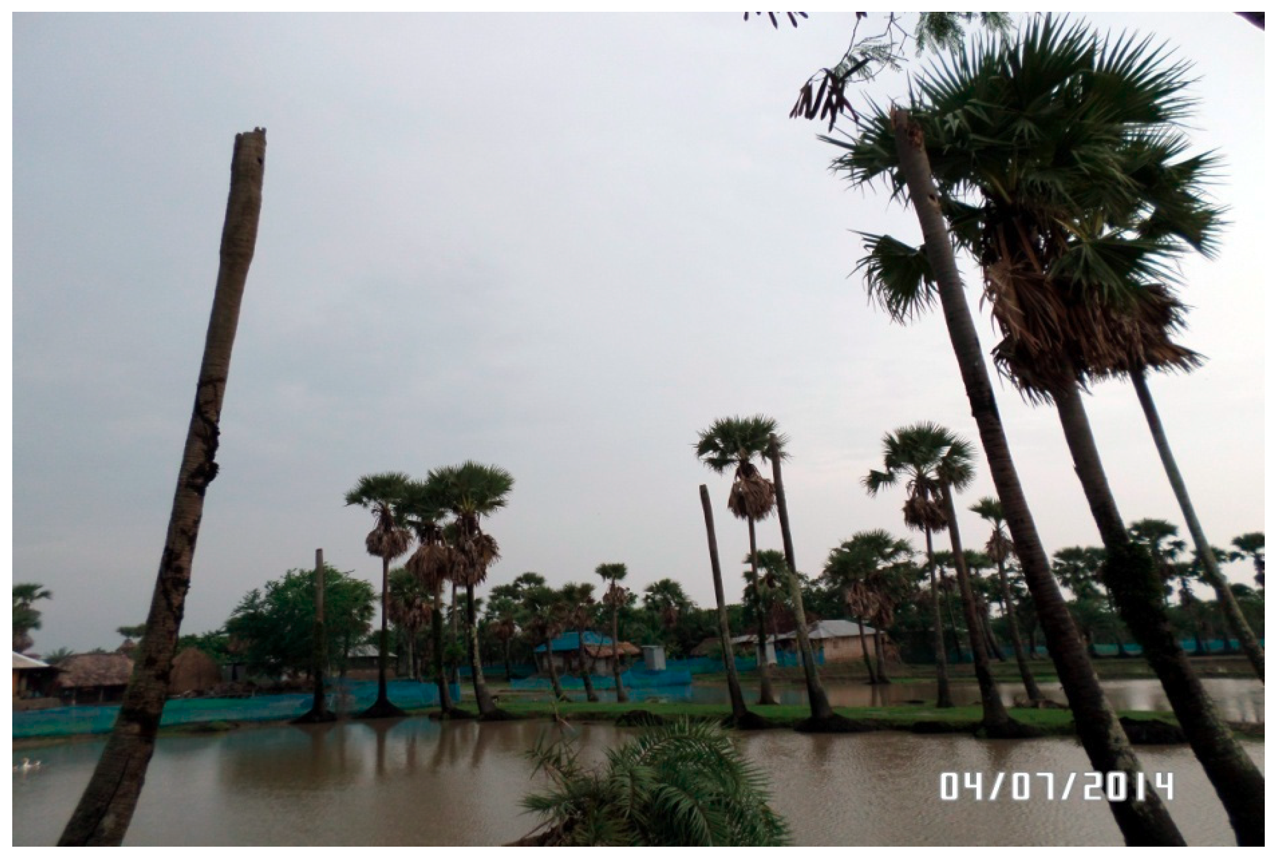 Ijerph 16 00672 g001