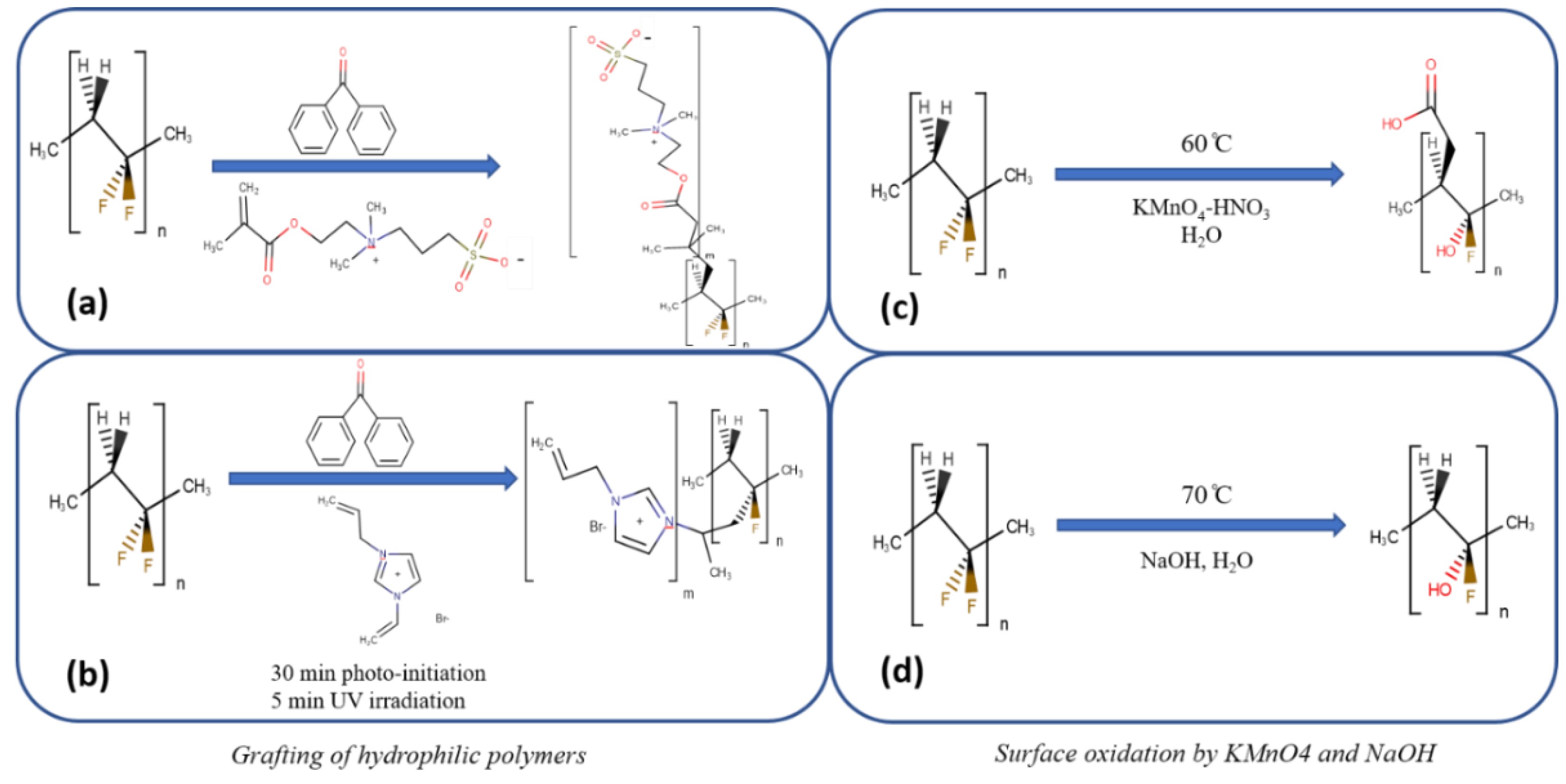 Ijerph 16 00685 g002